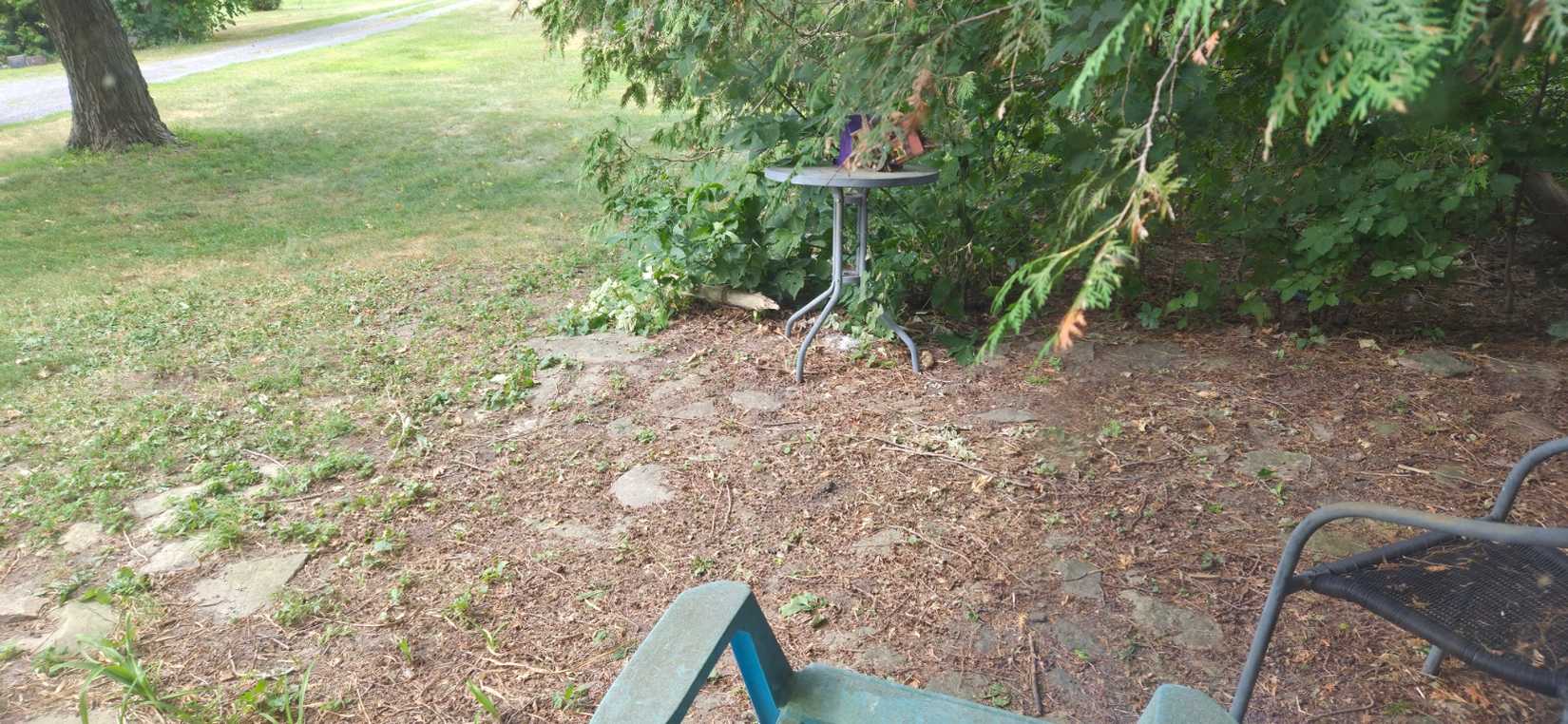 a landscape camera shot showing chairs, grass, dirt and trees outside of a window