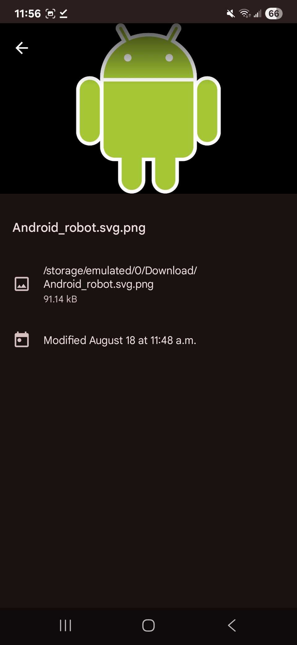 Download location of an image shown in Google Files app