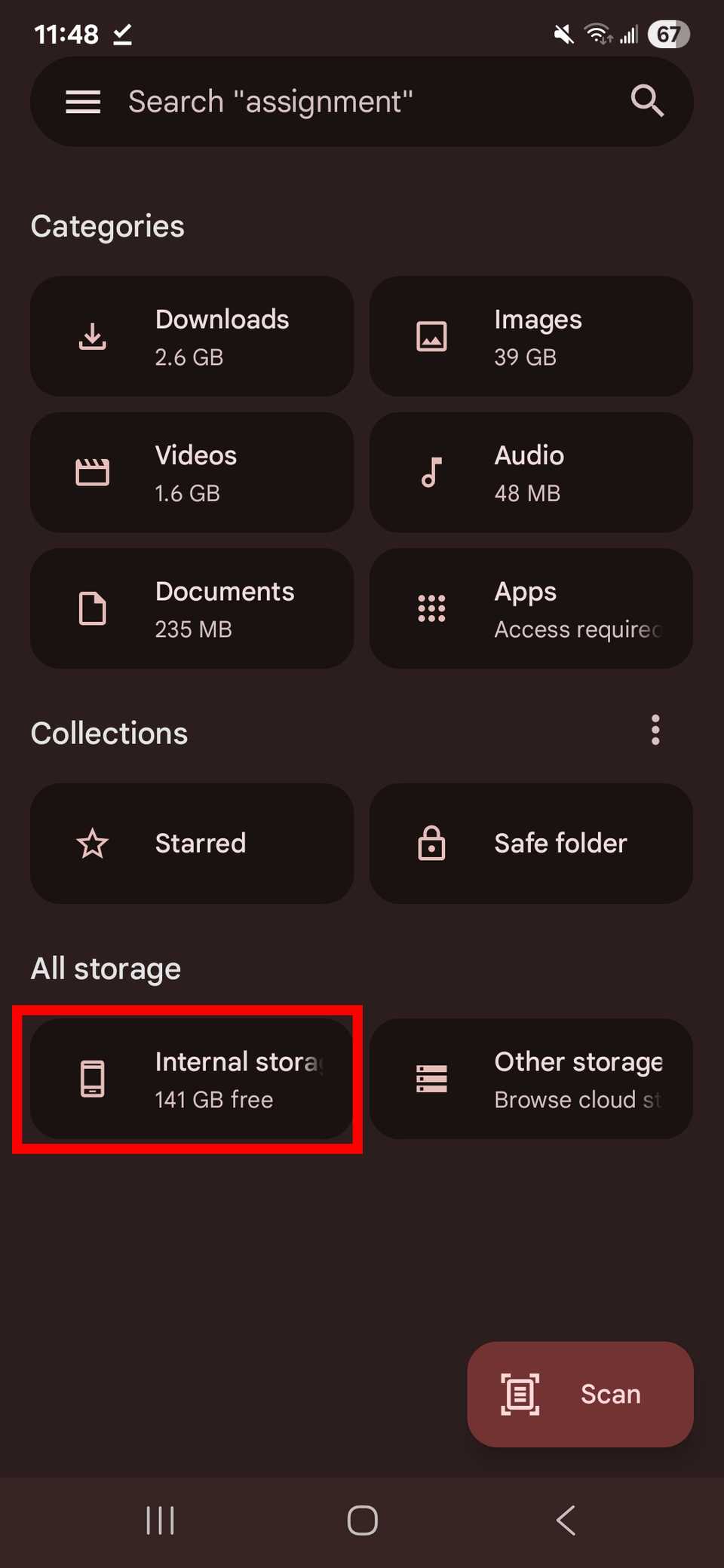 Red rectangle outline highlighting Internal storage option at the bottom of the Google Files app