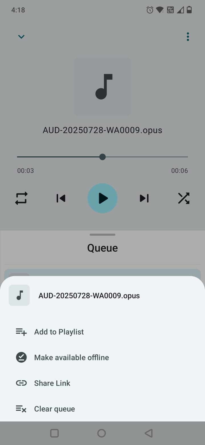 屏幕截图在pcloud中显示音频文件选项