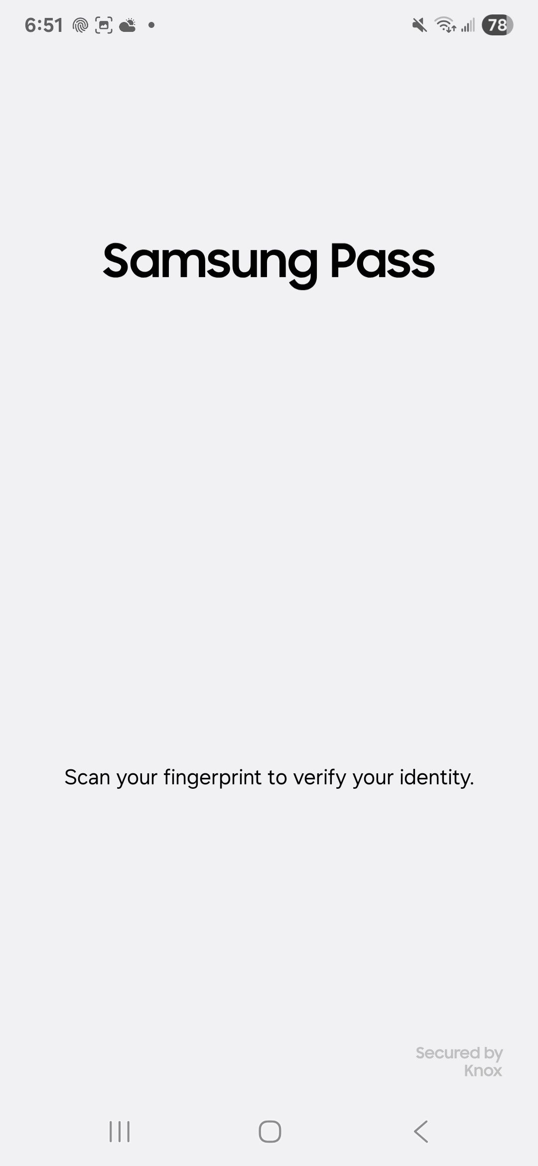 Samsung Pass on the Galaxy Phone mostra 'Digitalize sua impressão digital para verificar sua identidade' Prompt