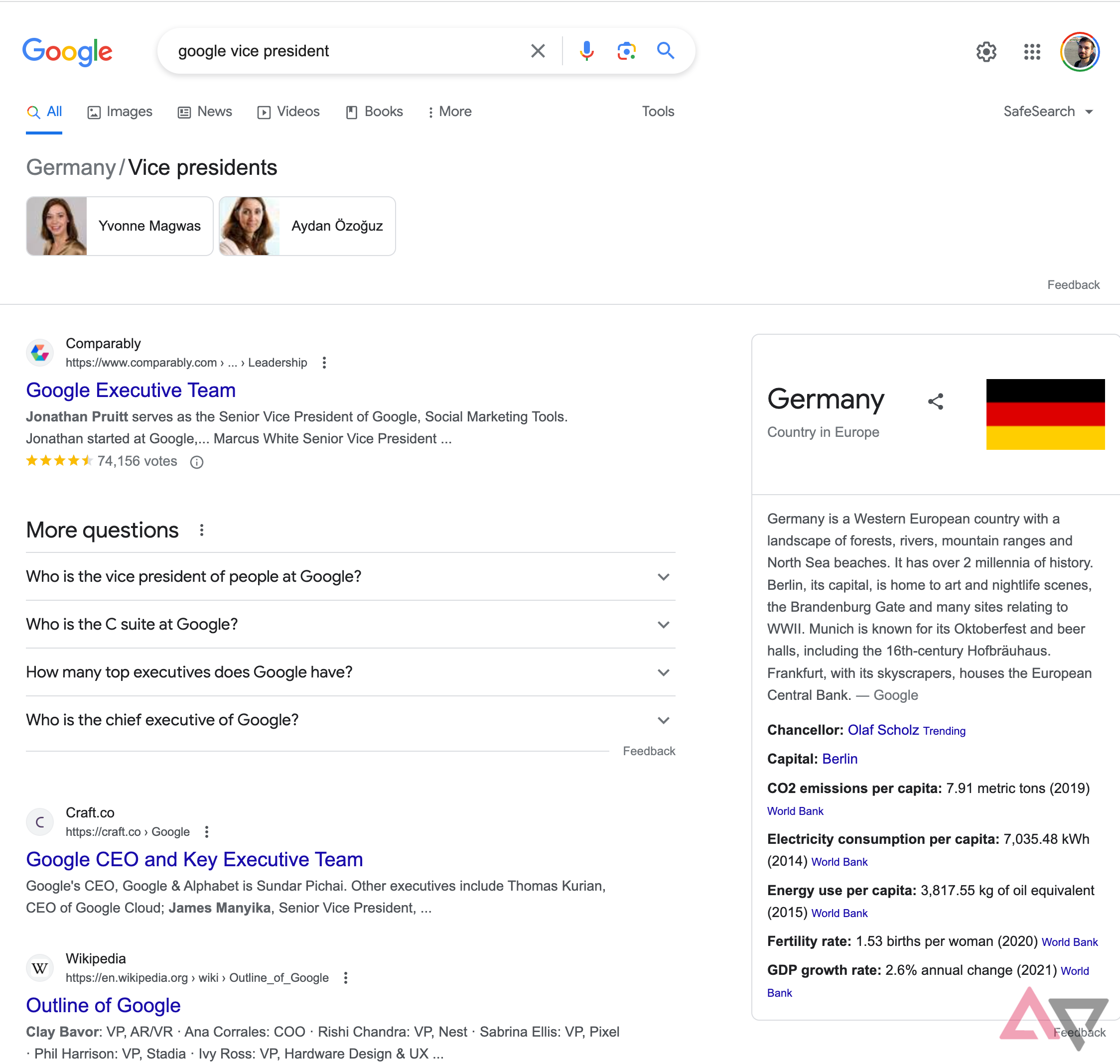 Google Search Outcomes for a UK citizen showing Yvonne Magwas