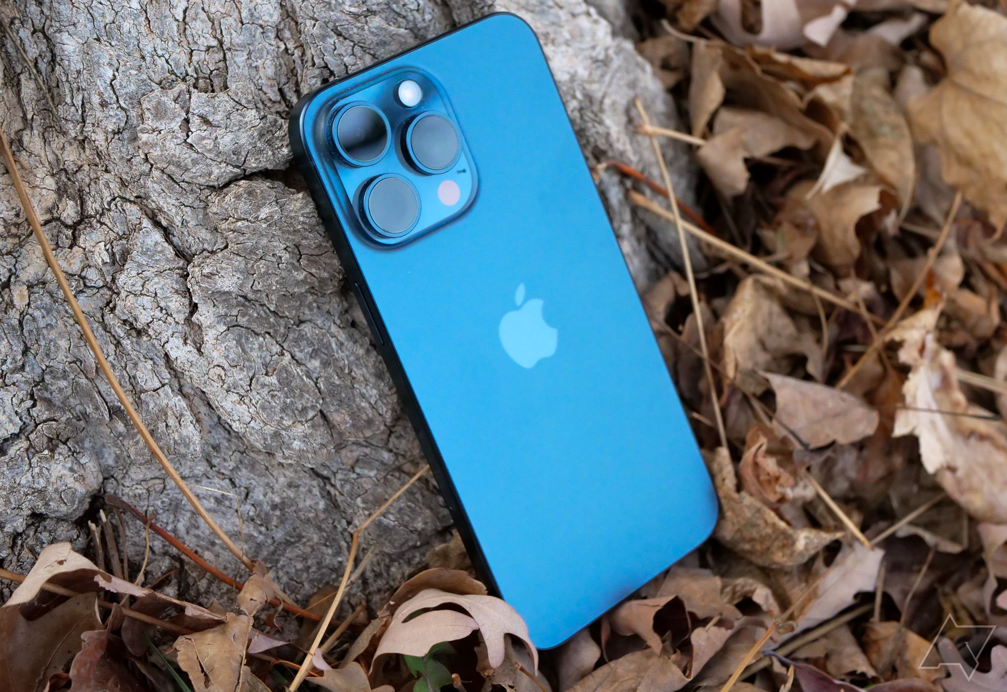 The iPhone 15 Pro Max leaning against a tree with scattered leaves