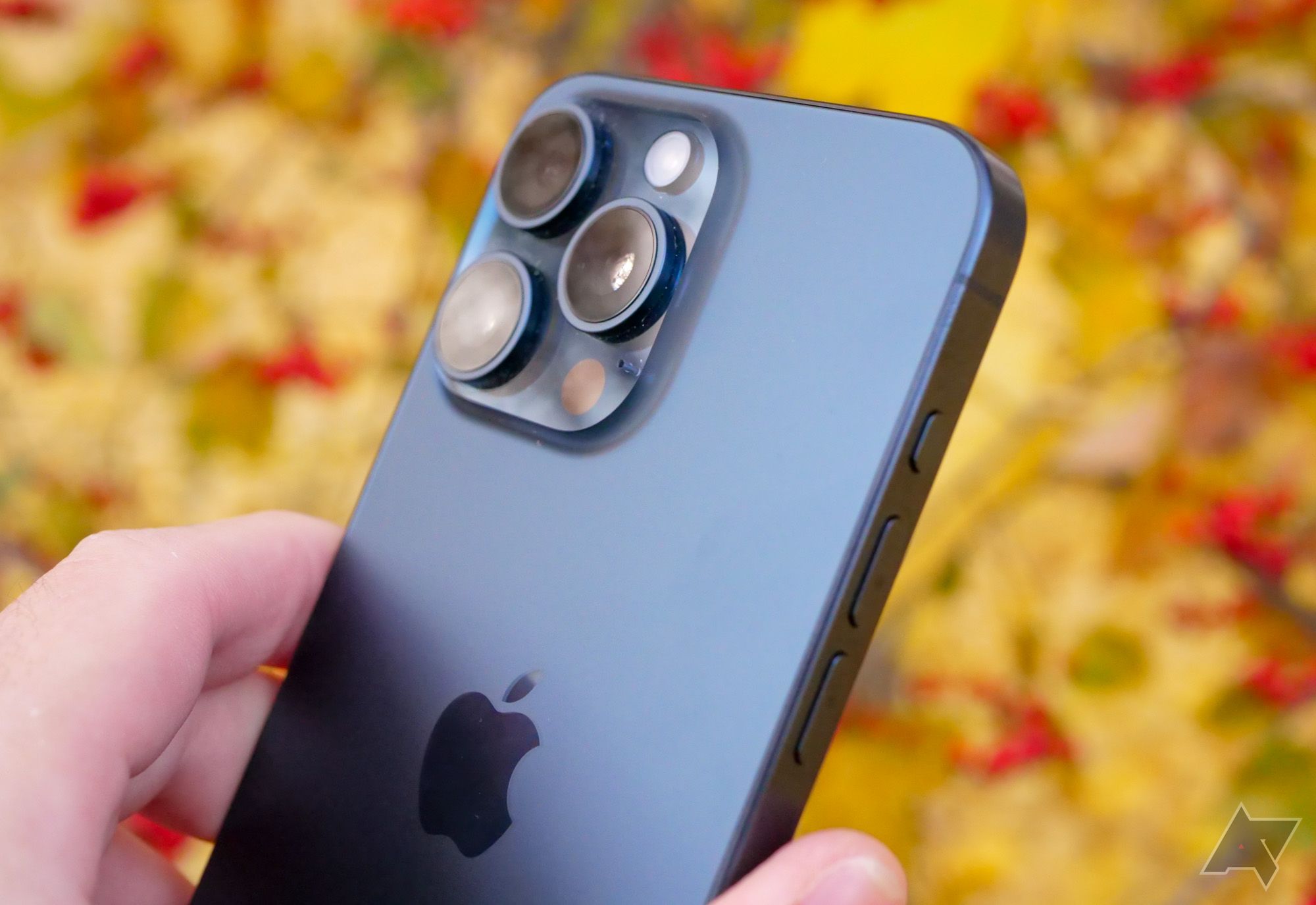The iPhone 15 Pro Max against a backdrop of leaves