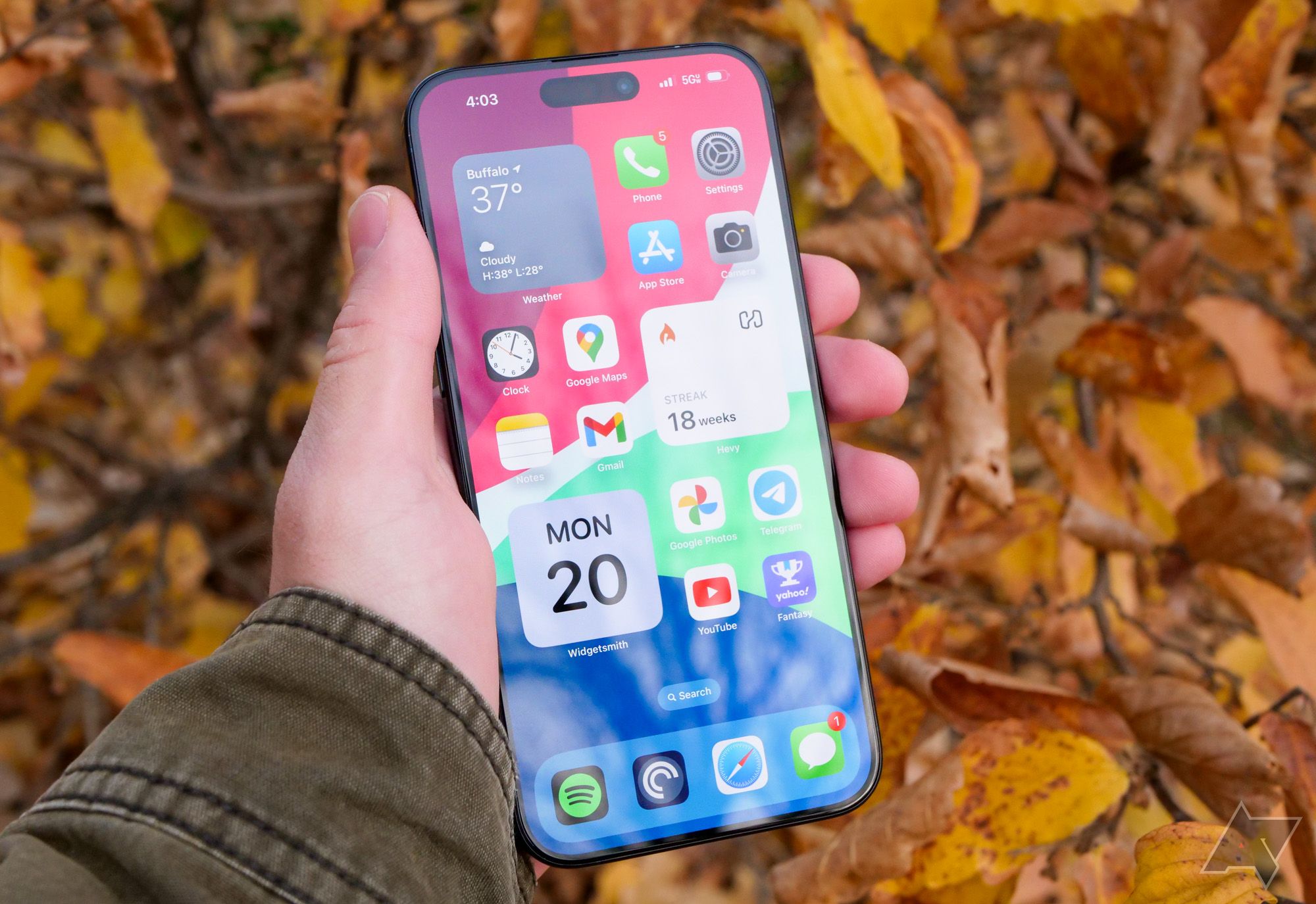 The iPhone 15 Pro Max held in a hand with leaves below