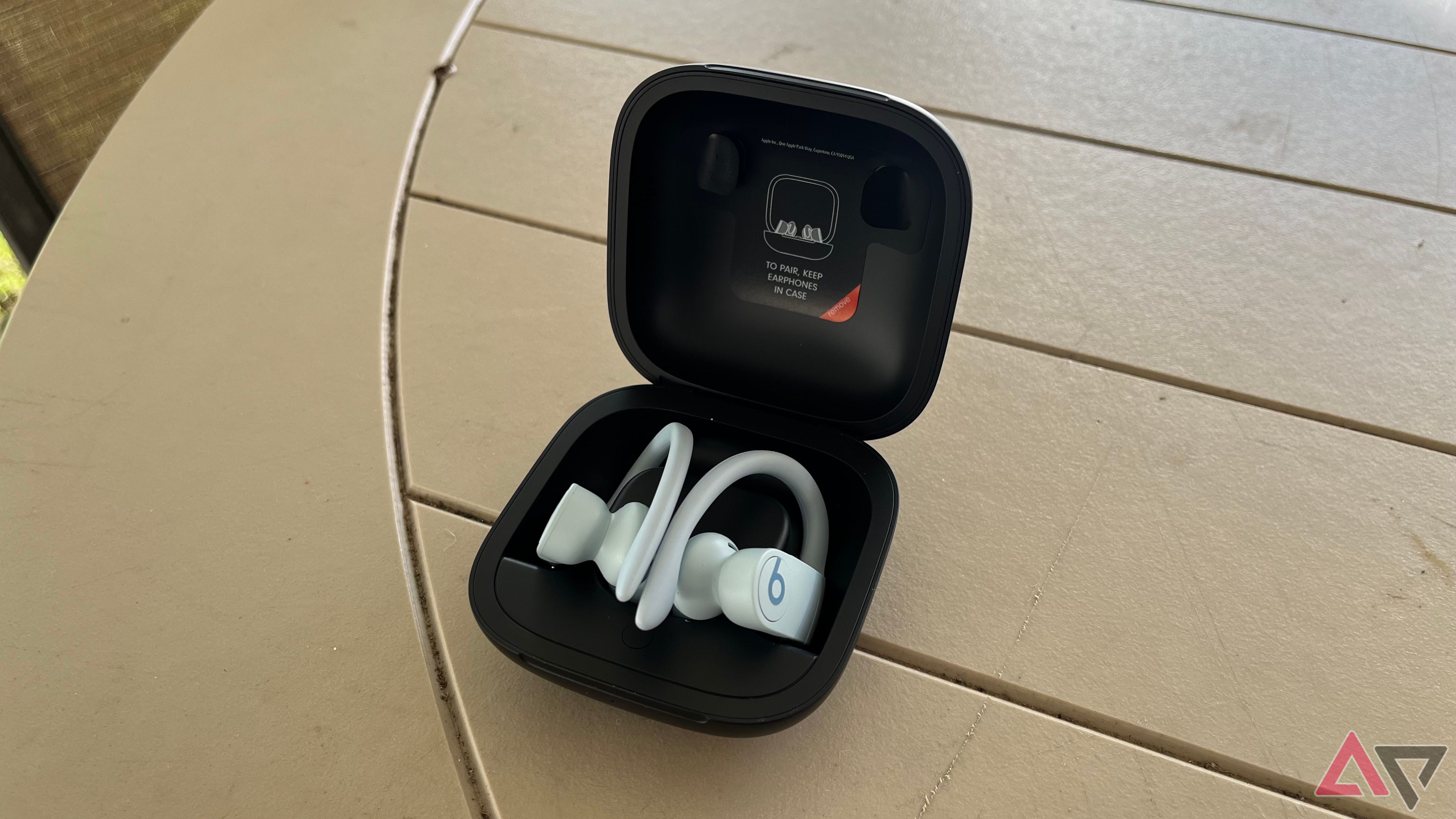 Beats Powerbeats Pro in the case