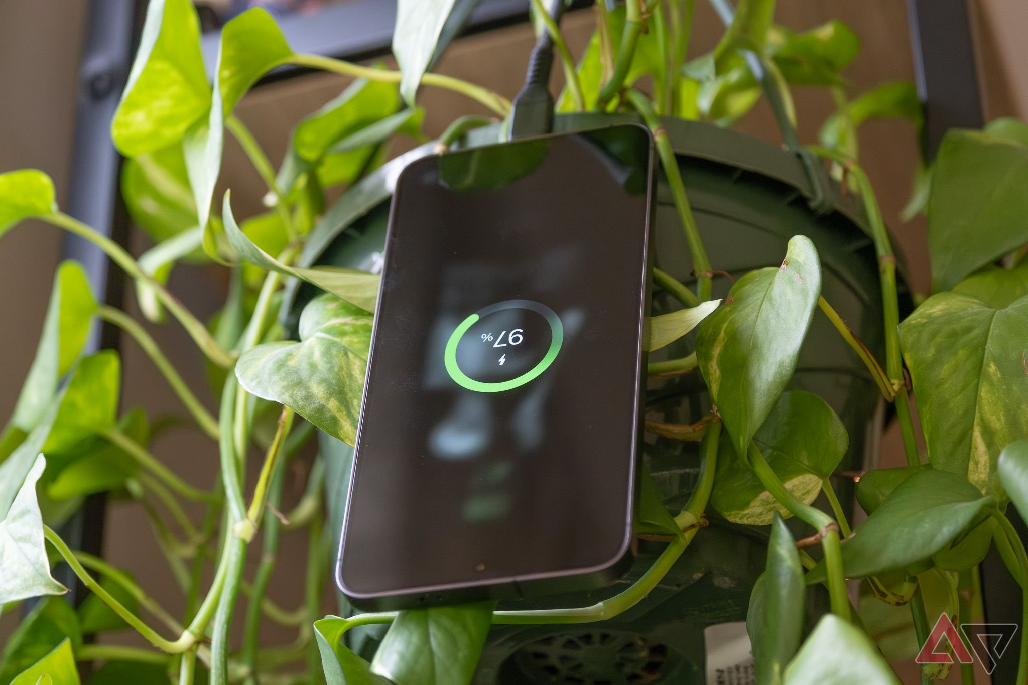 A Samsung Galaxy S24+ hanging upside-down and charging in a hanging plant