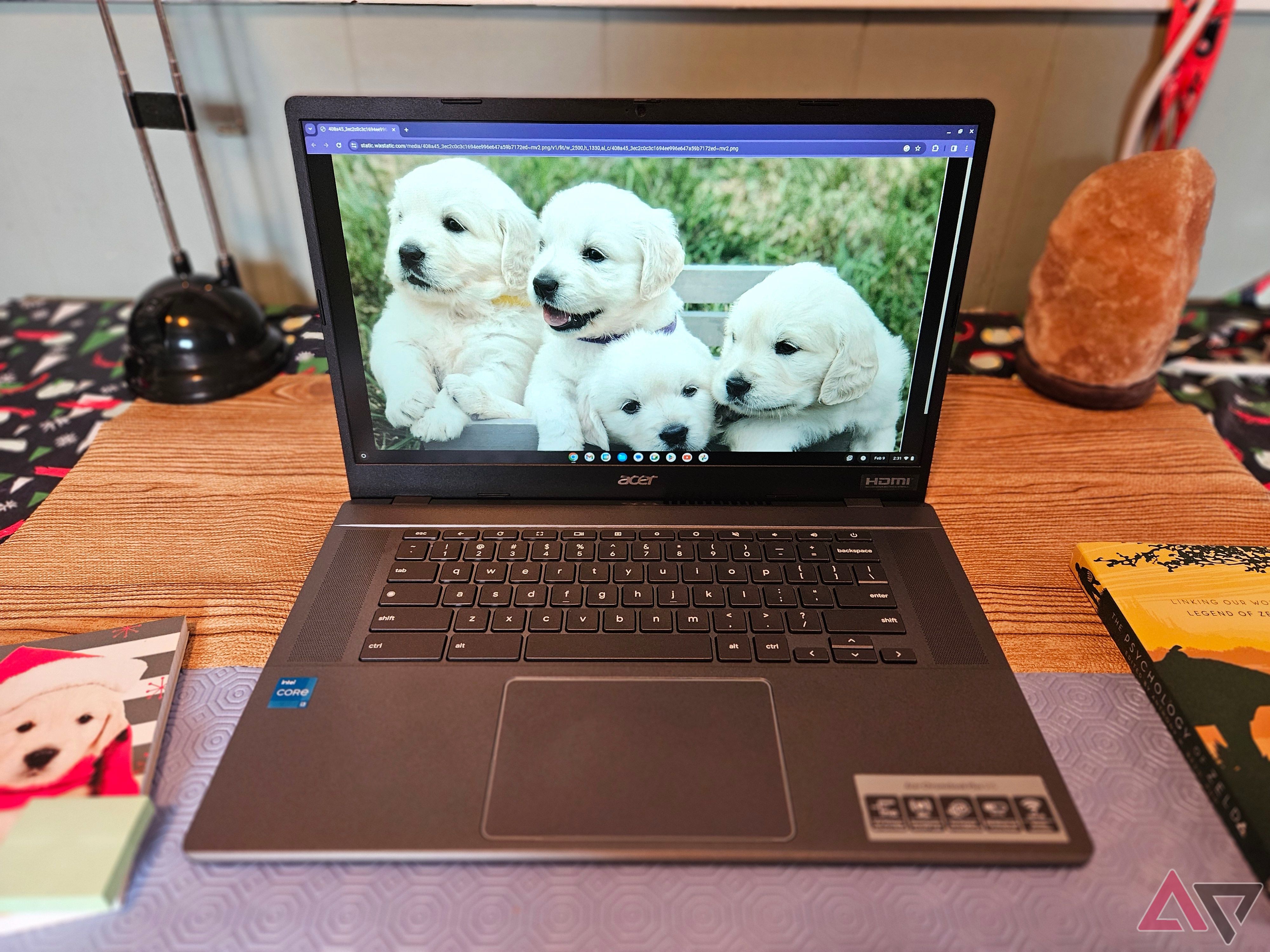 display example with golden retriever puppies displayed on acer chromebook plus 515