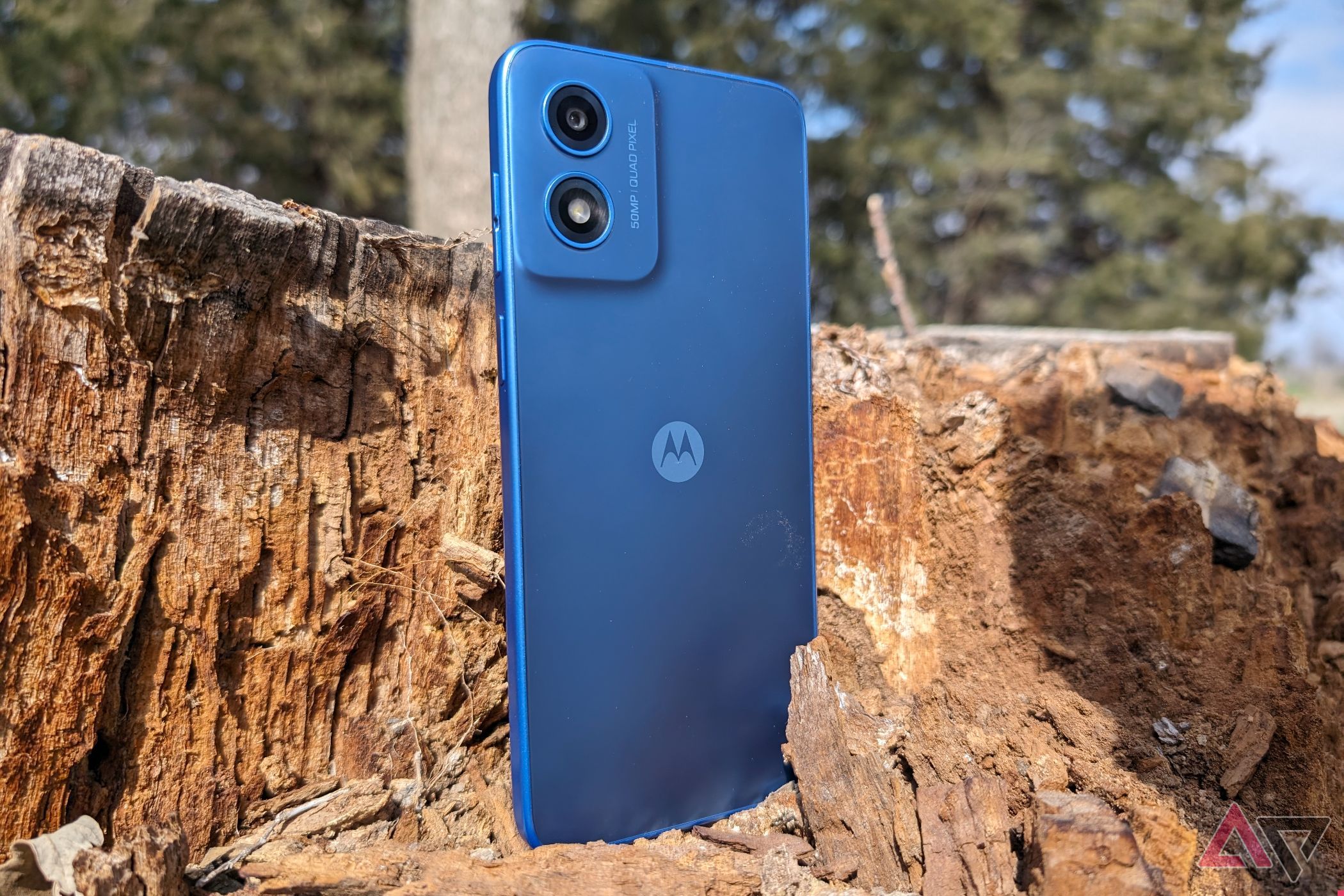 Back of the Motorola Moto G Play (2024) sitting in a tree stump