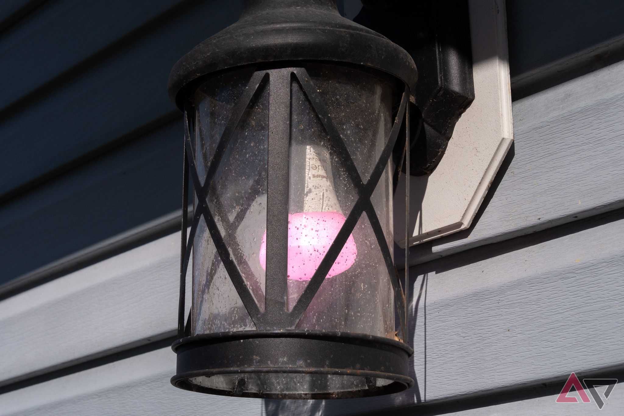 A pink lightbulb in a light fixture on a blue wall
