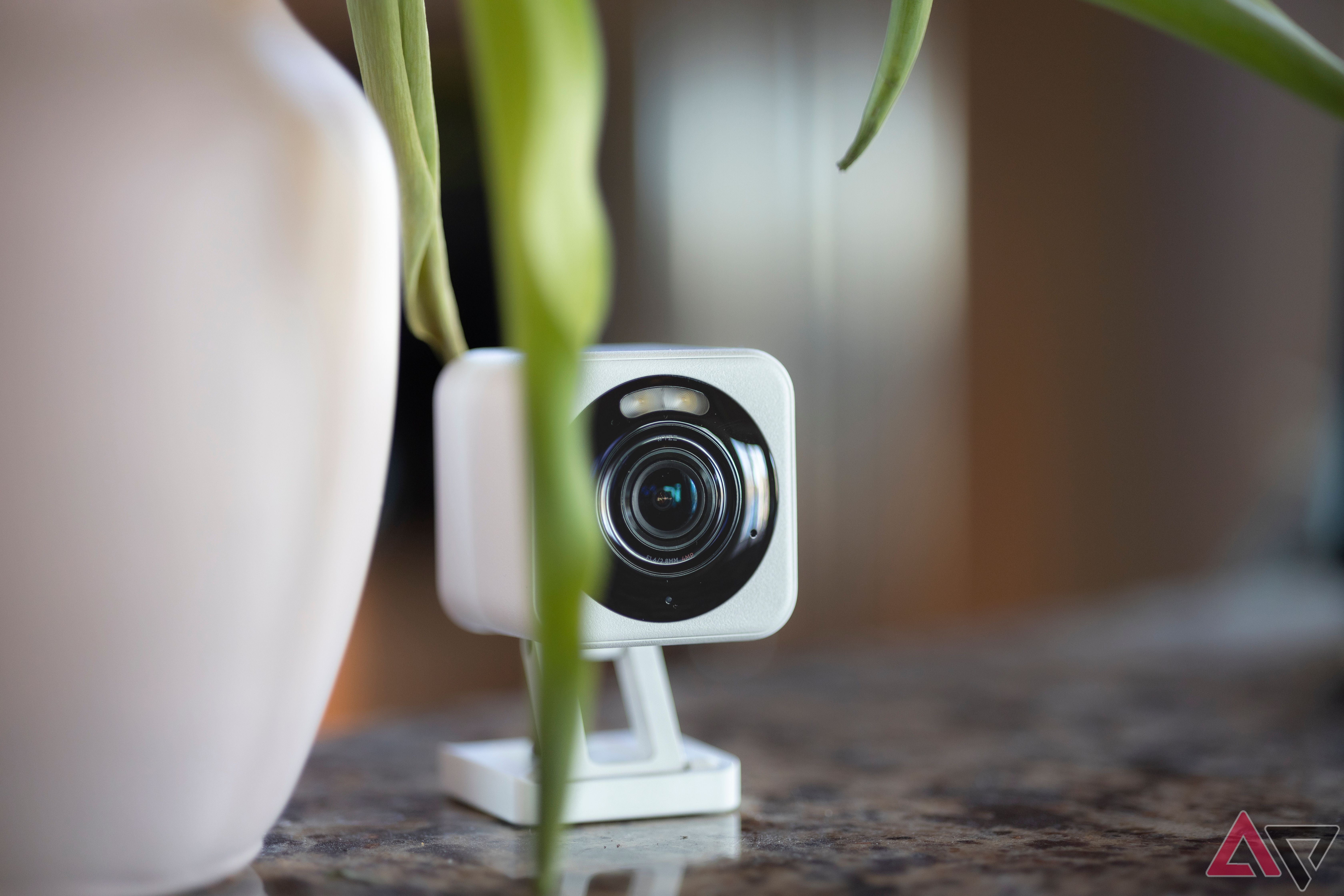 Wyze Cam v4 on granite countertop next to pink vase