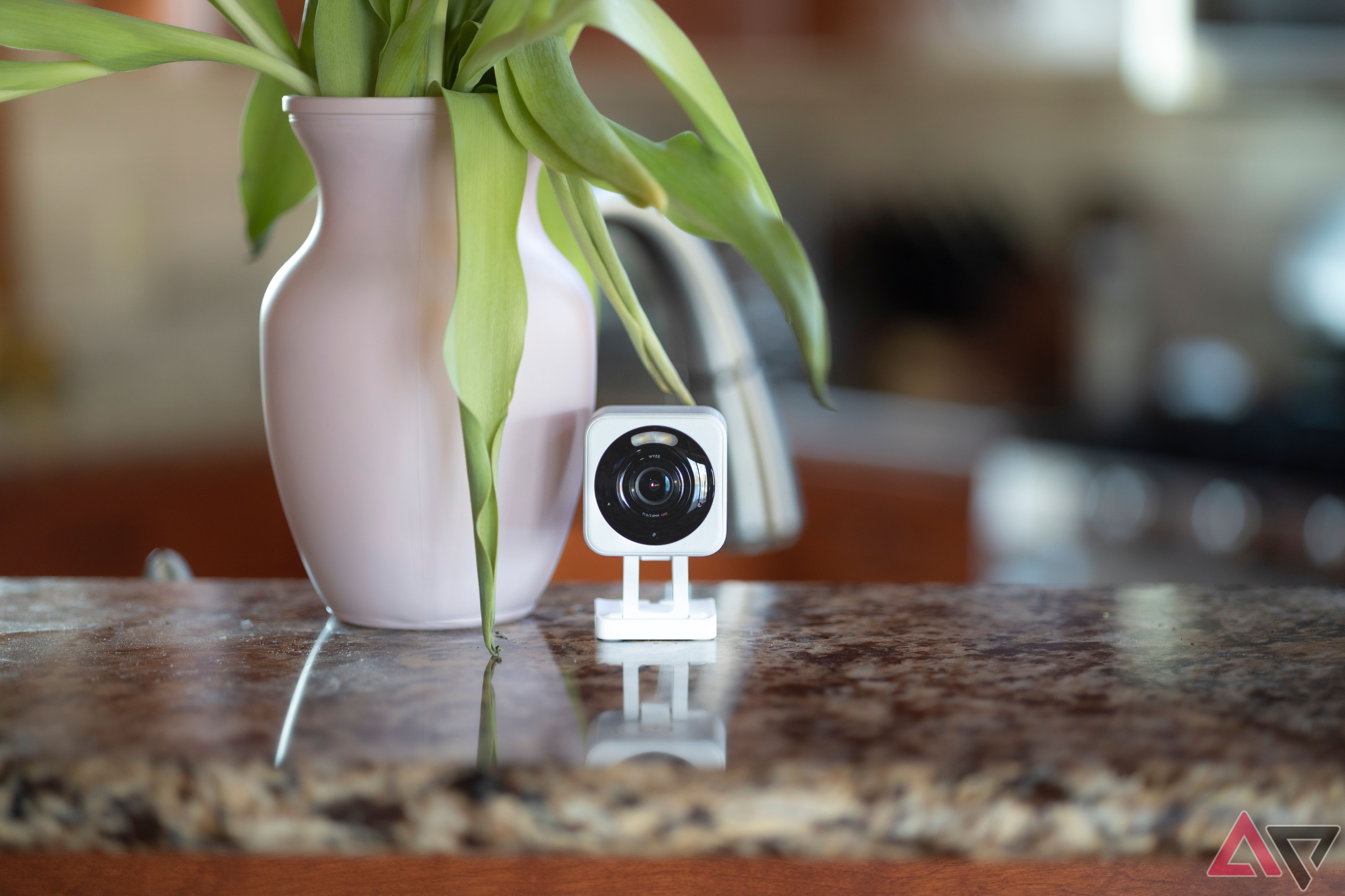 Direct view of Wyze Cam v4 on granite countertop next to pink vase