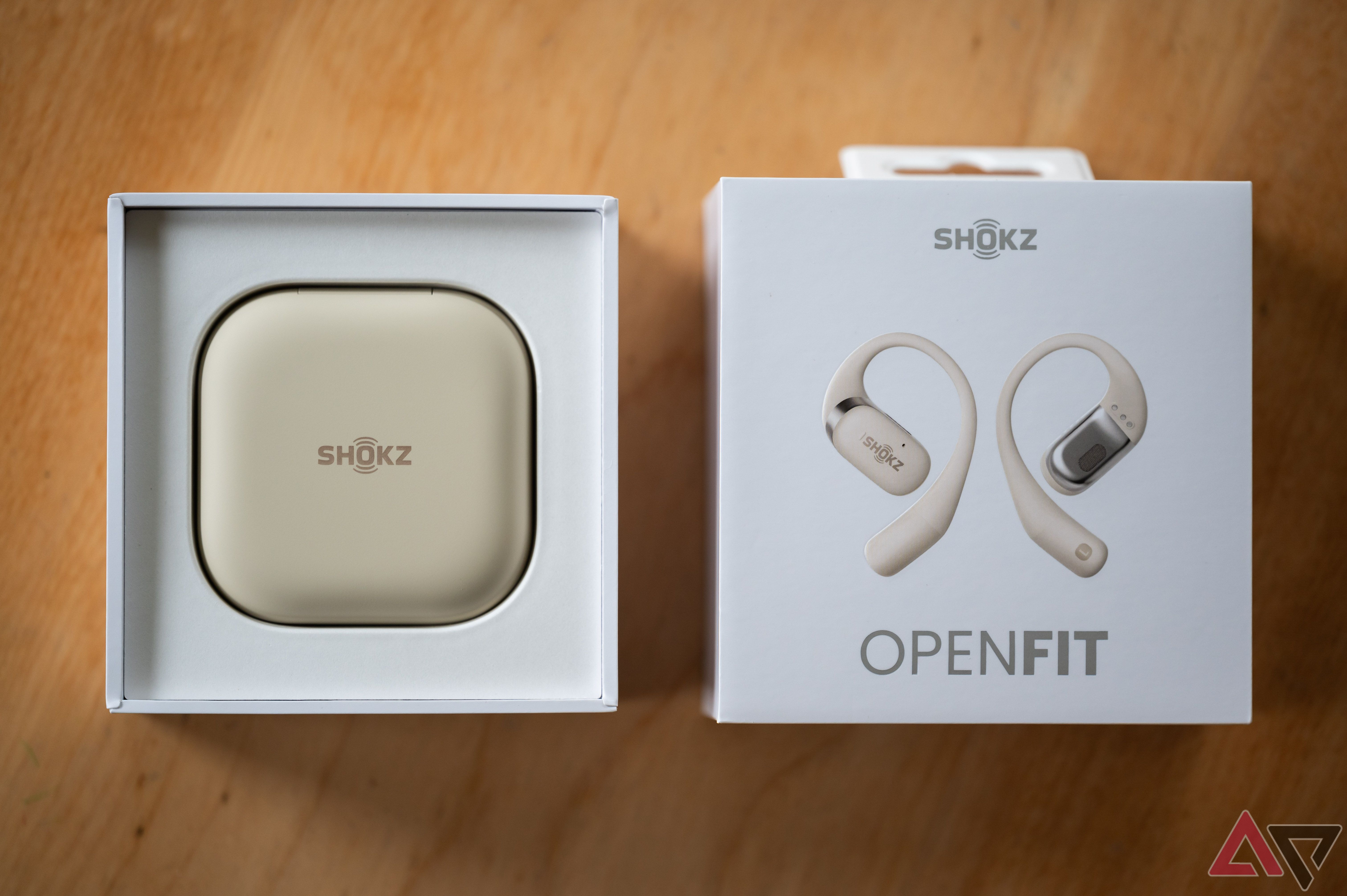 Shokz Openfit Earbuds 