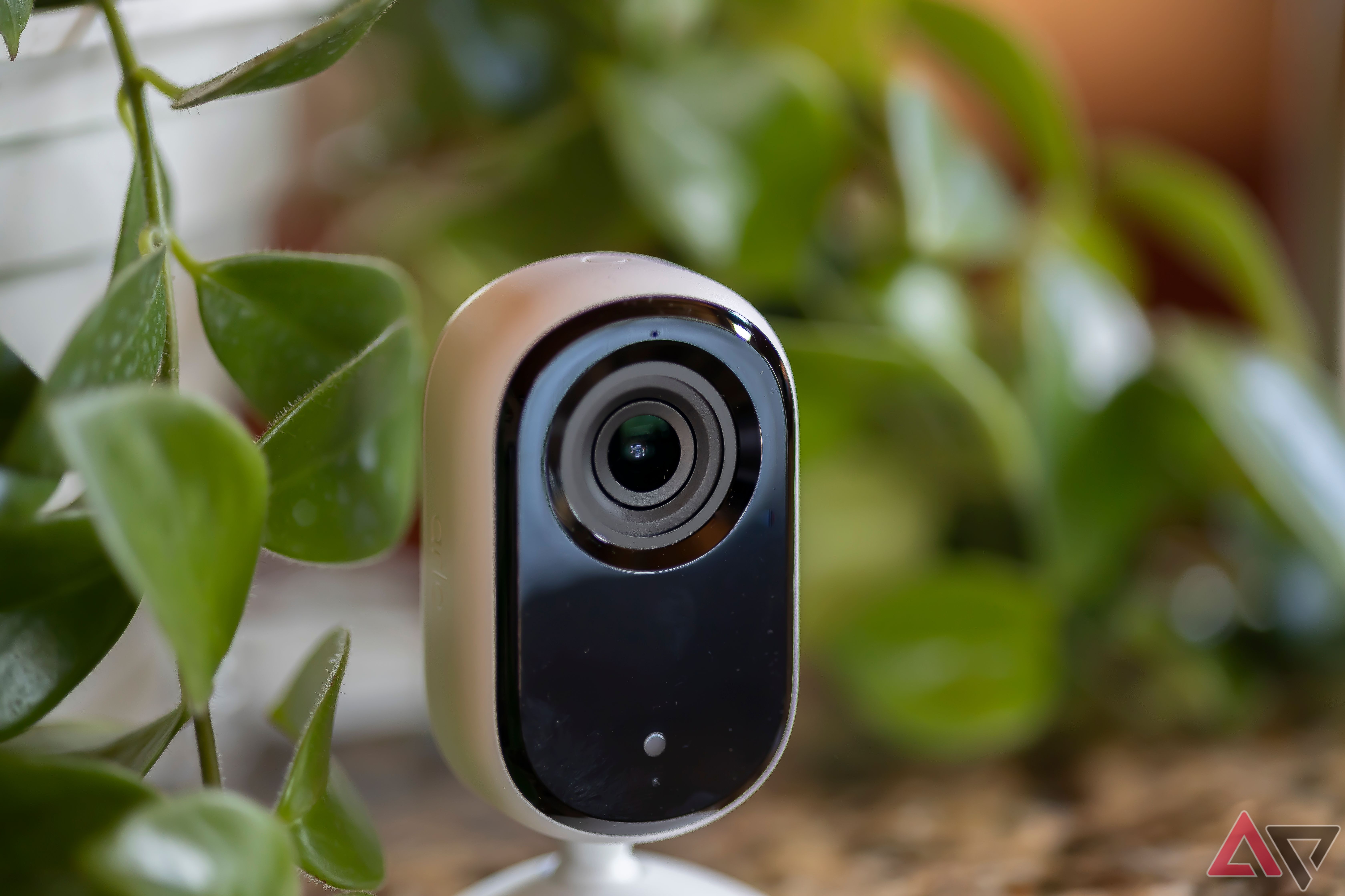 Arlo Essential Indoor Security cam sitting on a shelf surrounded by a plant