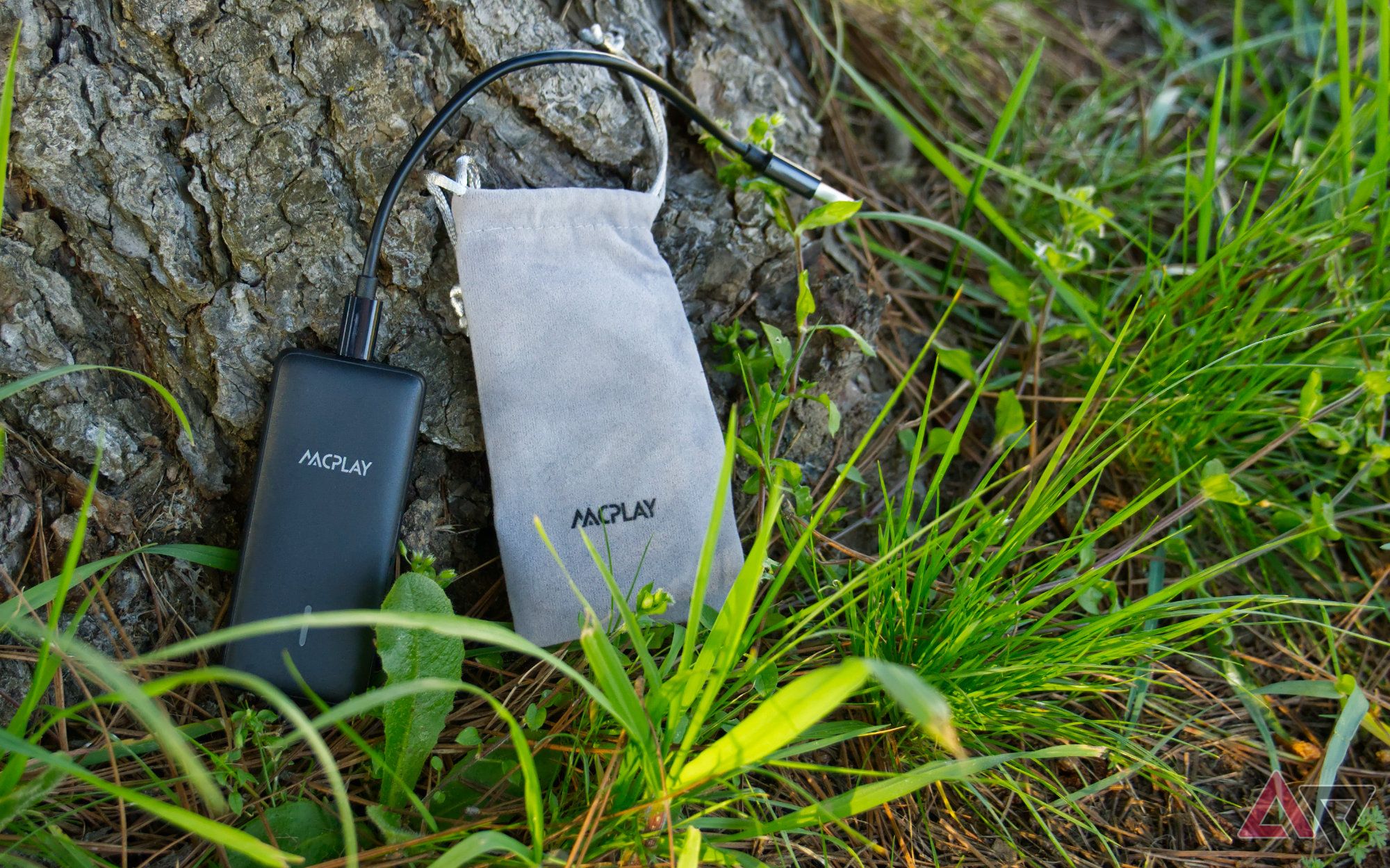 AACPlay wireless adapter and carrying pouch resting against the base of a tree amidst some blades of grass lit up by the afternoon sun