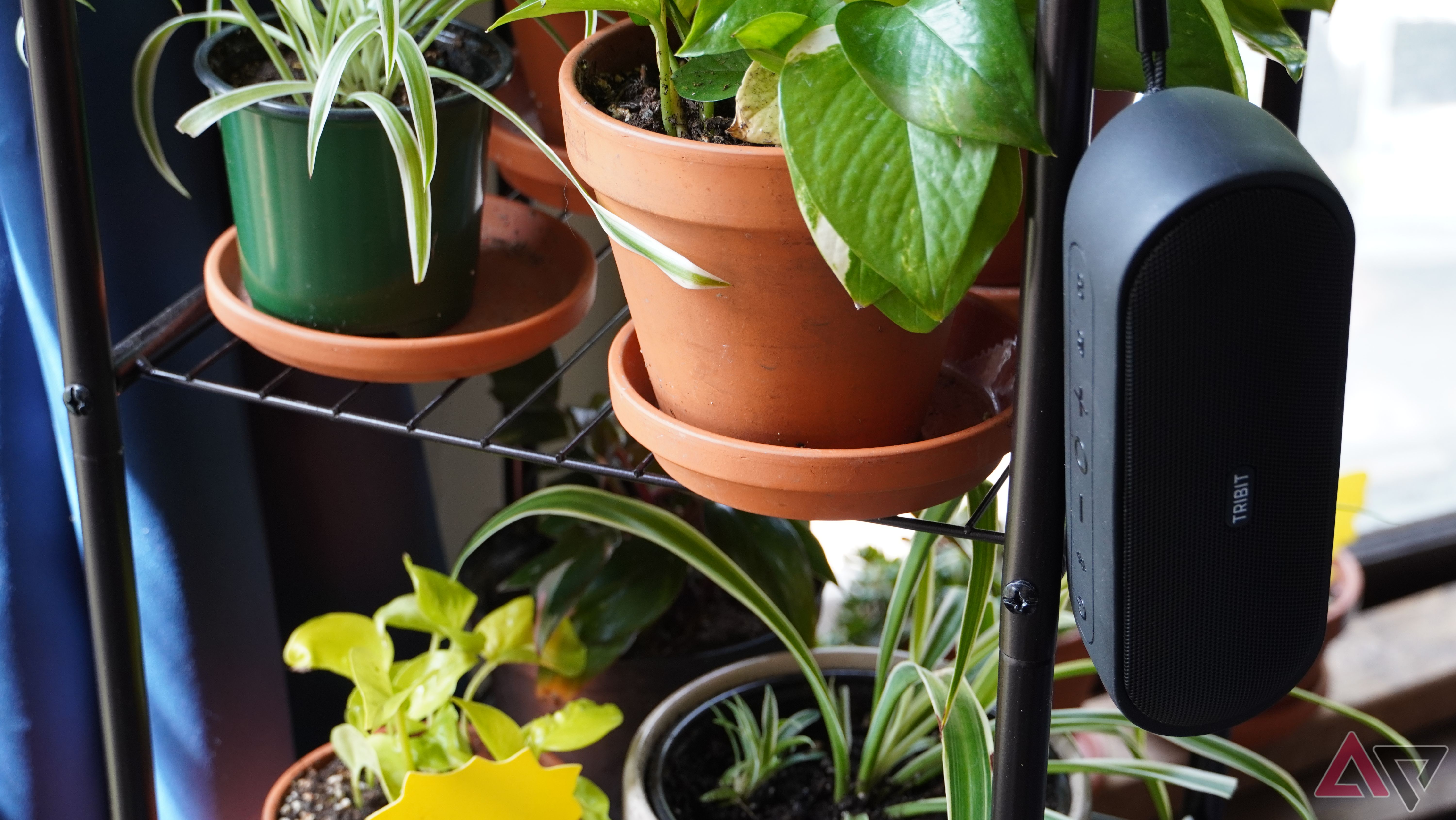 The best value portable speaker you can buy is now down to one of its ...