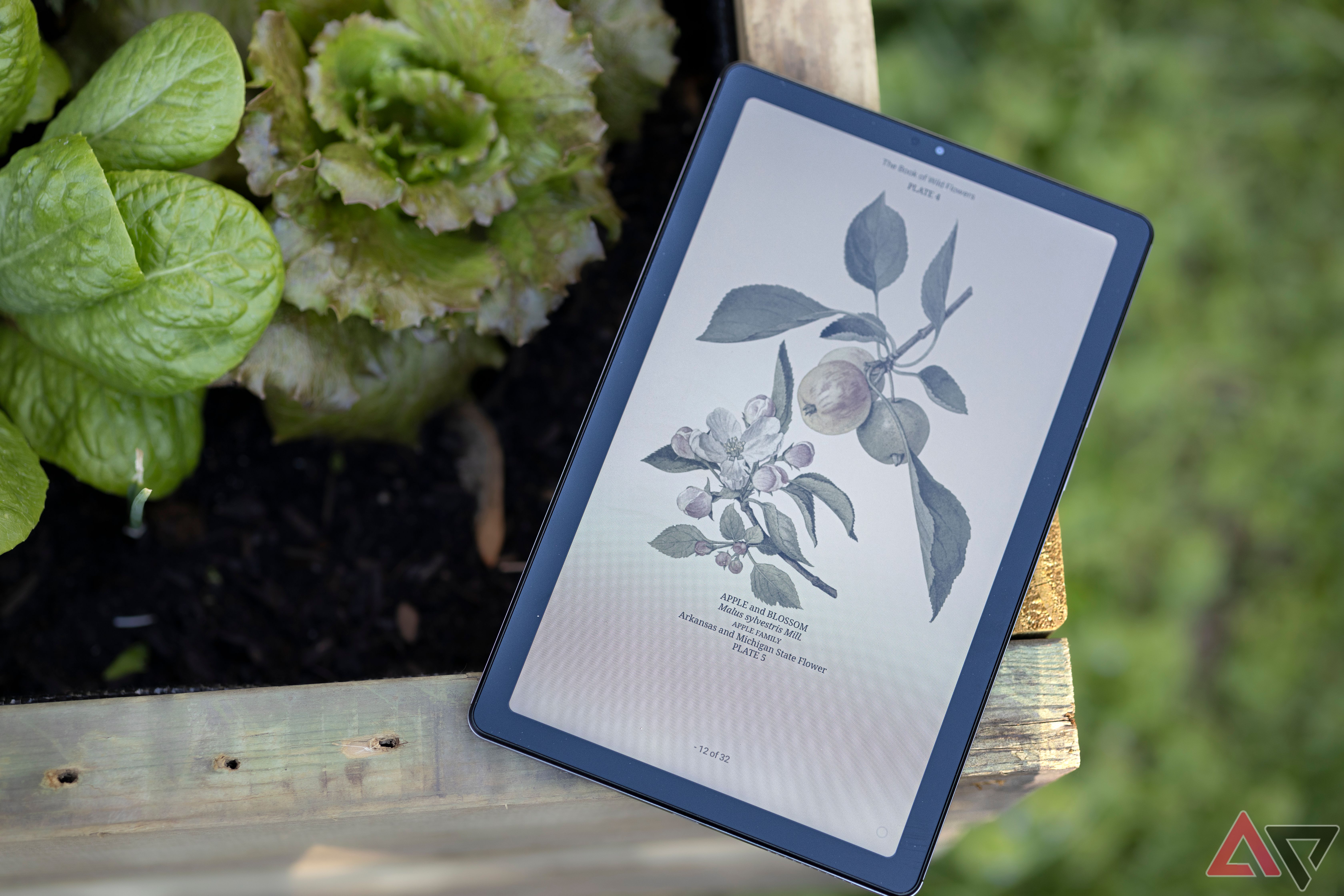 Nook 9" Lenovo Tablet open to book on wildflowers next to garden