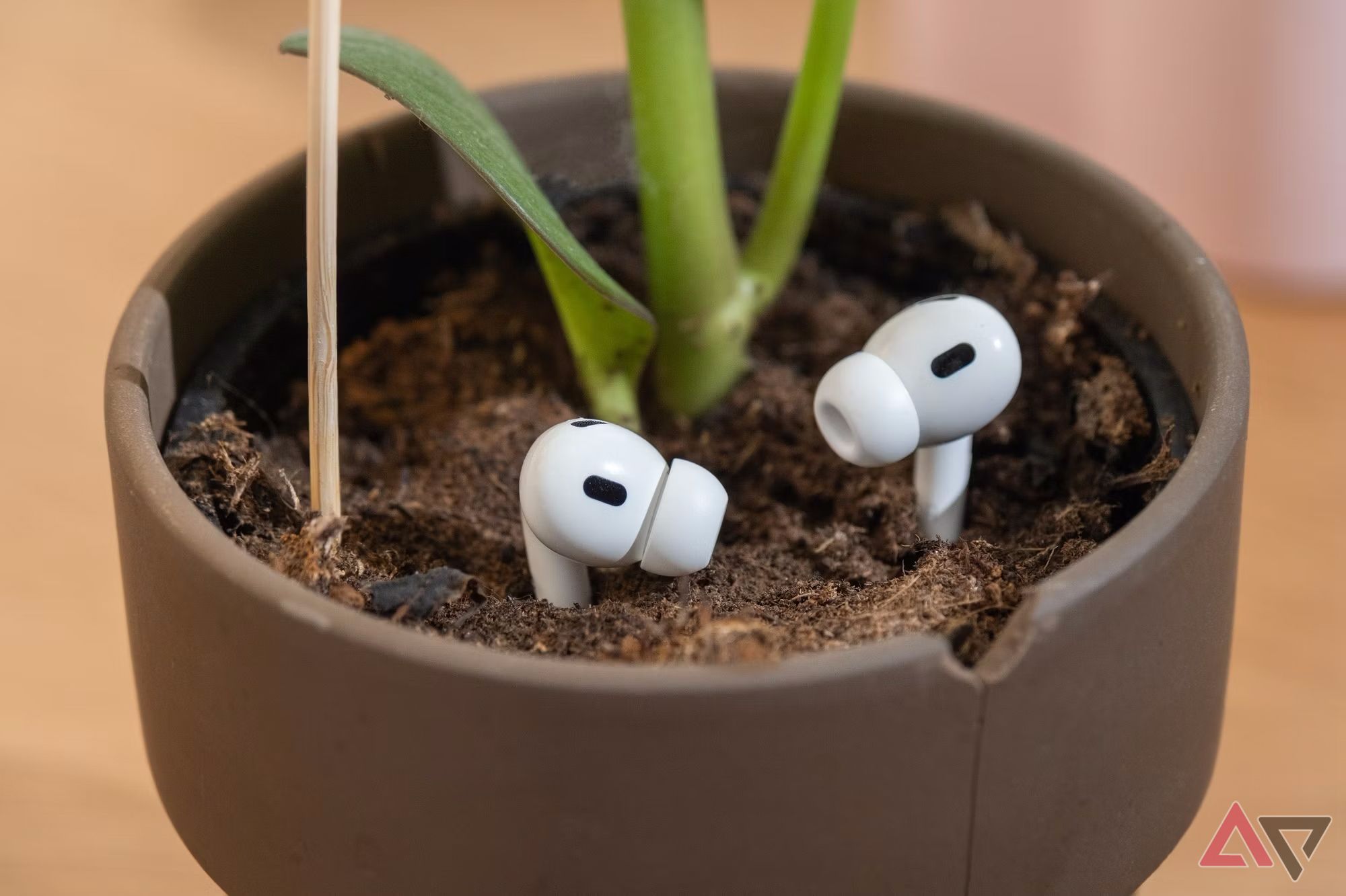 Photo of the Apple AirPods Pro 2nd Generation in a flower pot.