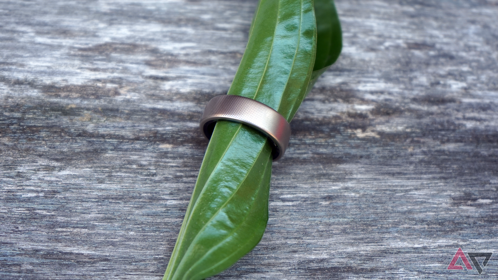 Amazfit Helio Smart Ring ring on a leaf