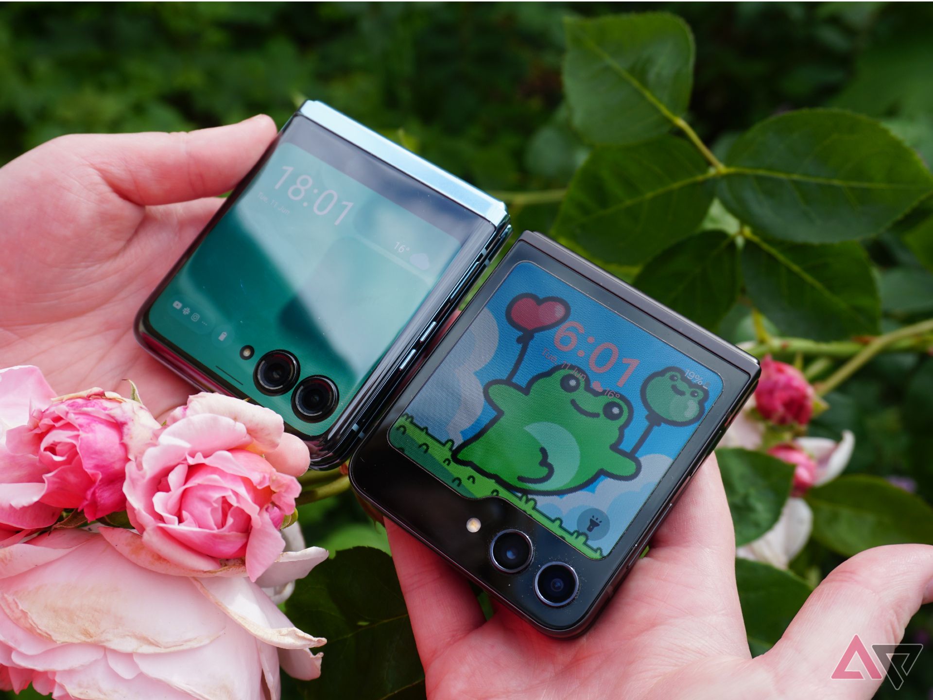 A photo of a Galaxy Z Flip 5 and Moto Razr+ being held together next to a rose bush