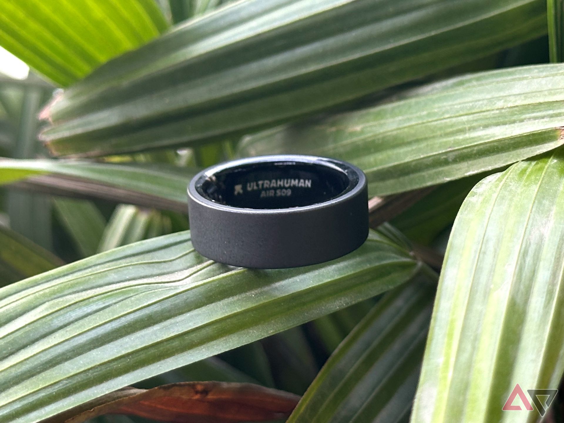 Ultrahuman Air Ring smart ring resting on a plant