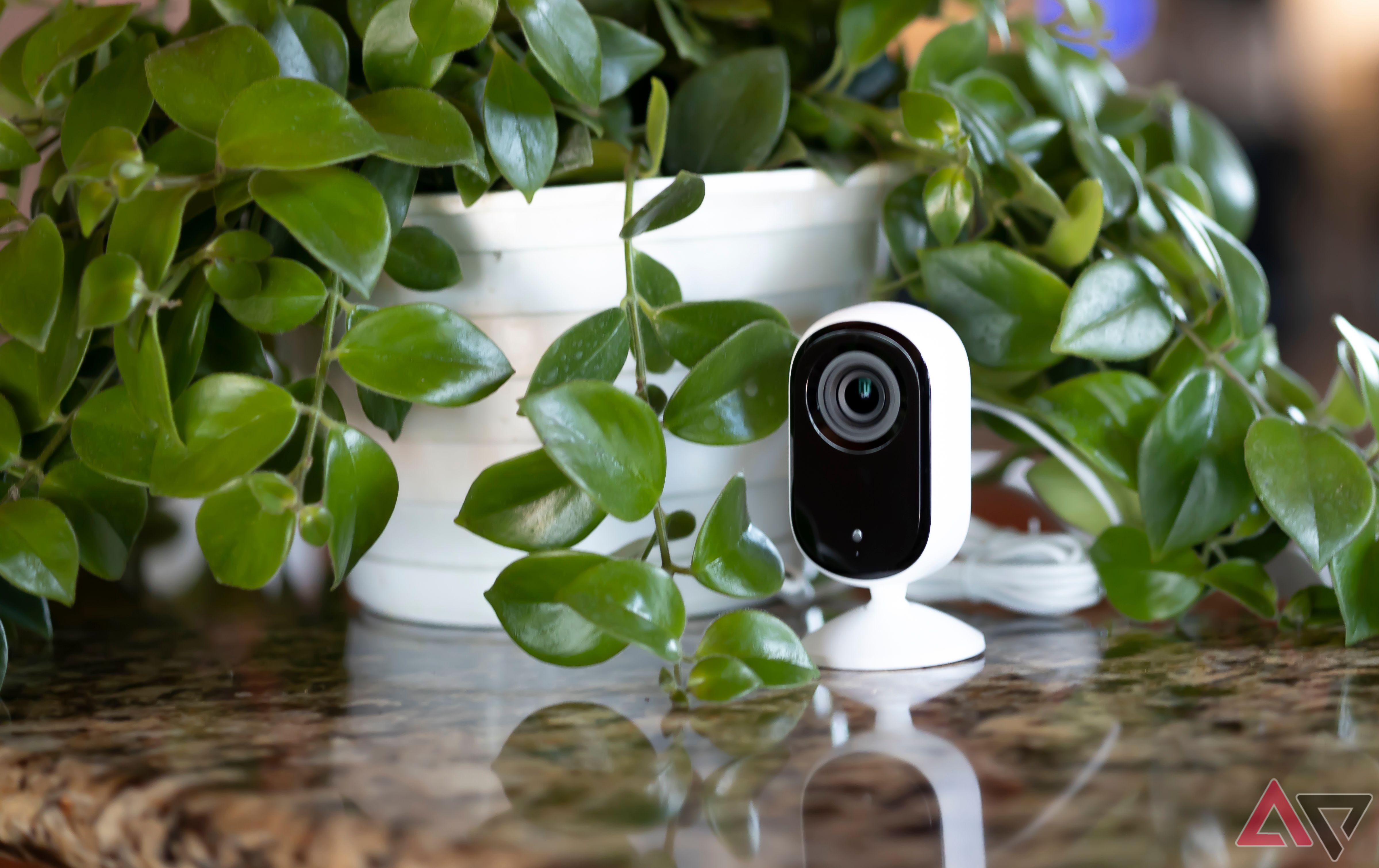 Arlo Essential Indoor Camera (2nd Gen, 2K) on granite counter against greenery