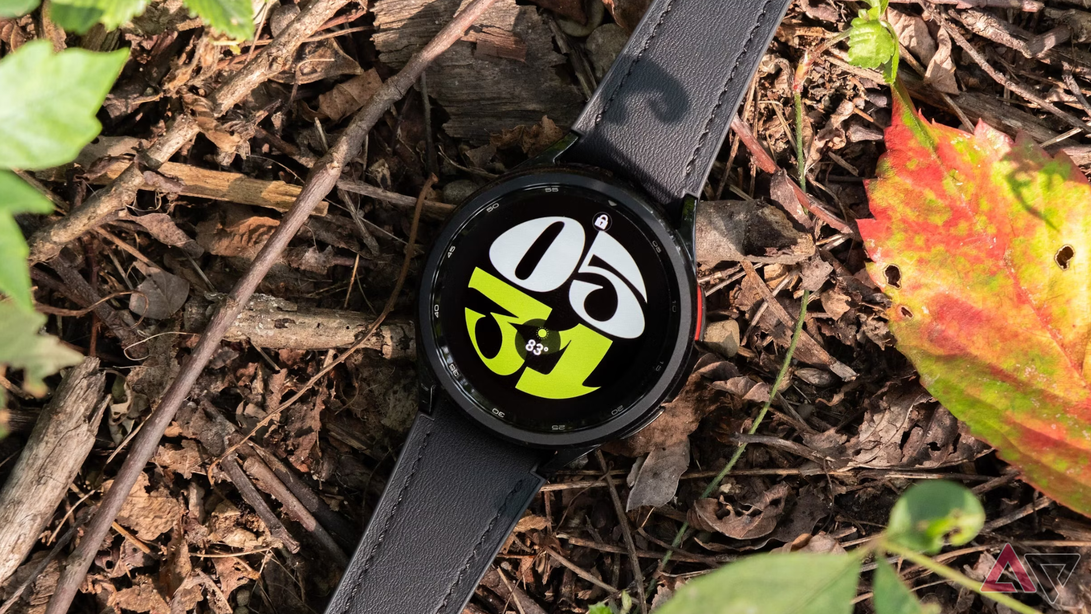 Budget wear os watches best sale