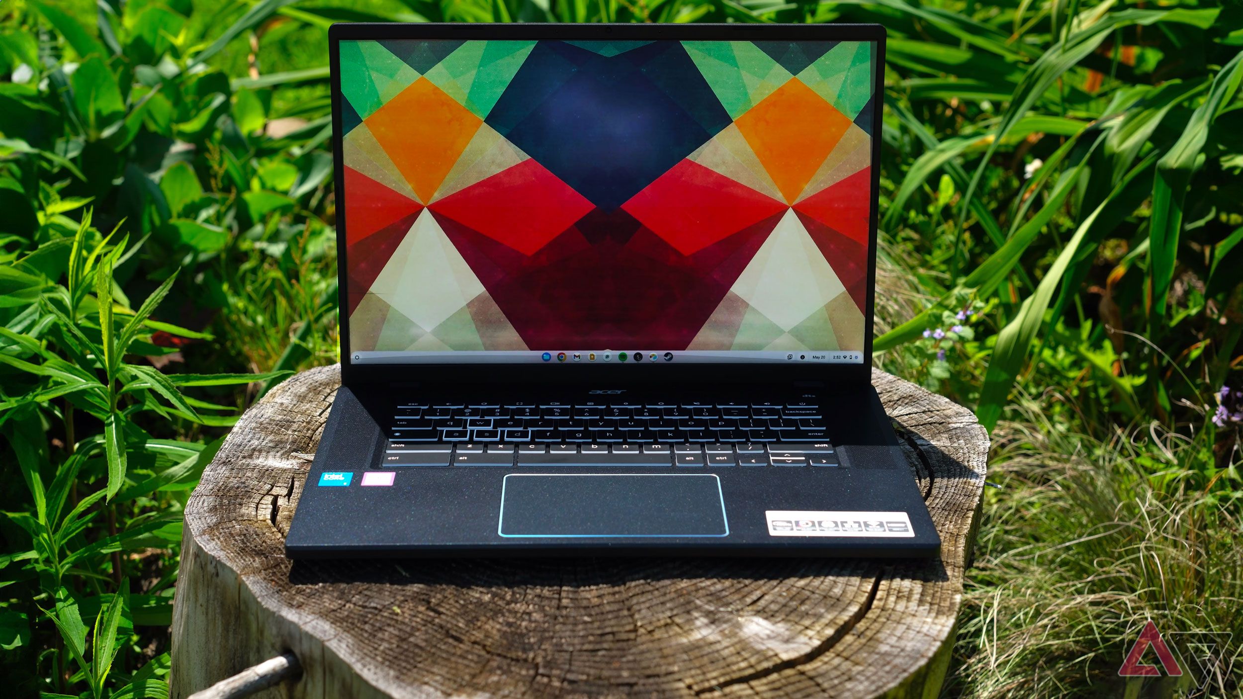 An Acer Chromebook Plus stands on a tree trunk