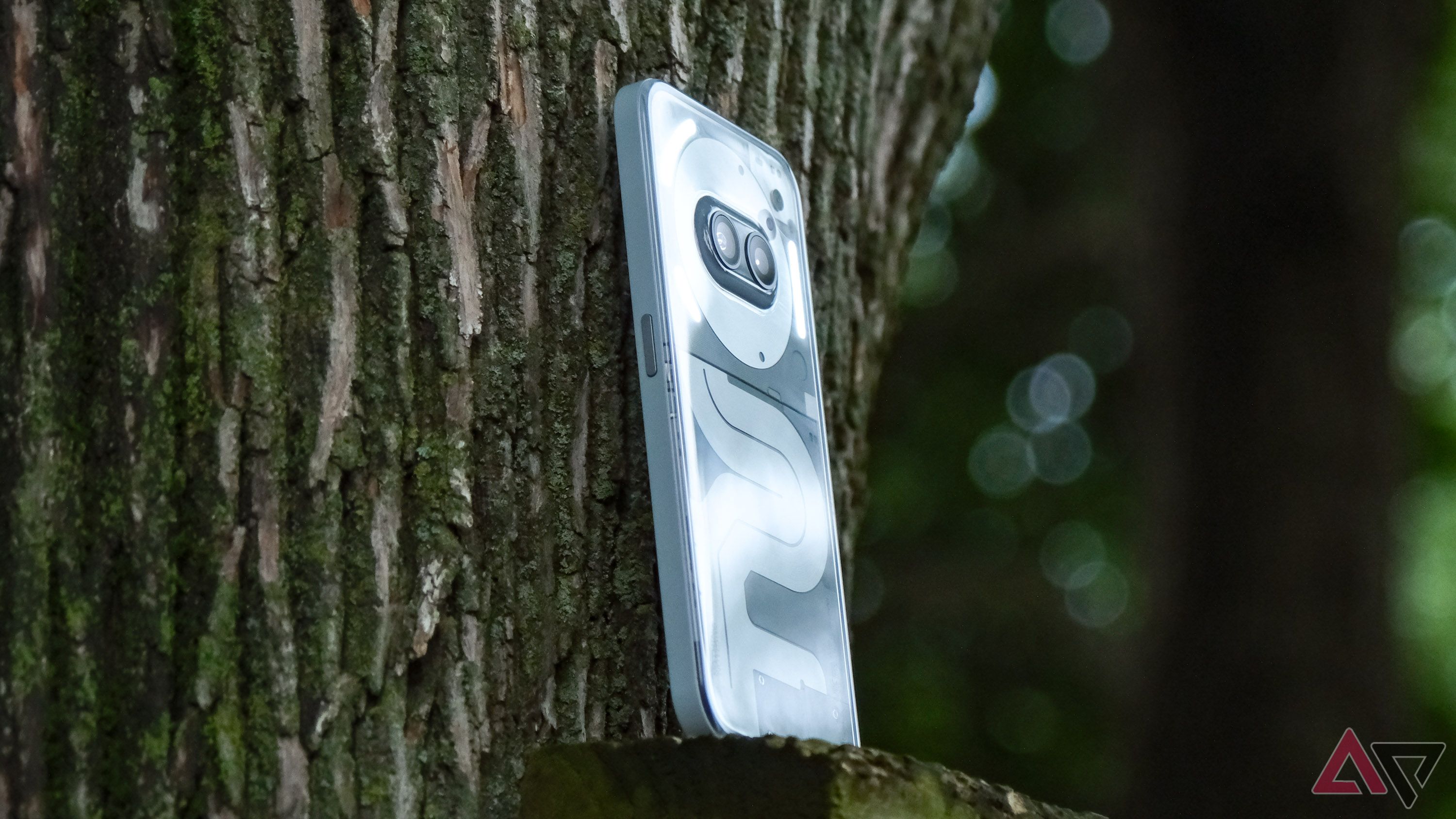 The Nothing Phone 2a Plus sits on a piece of wood attached to a tree