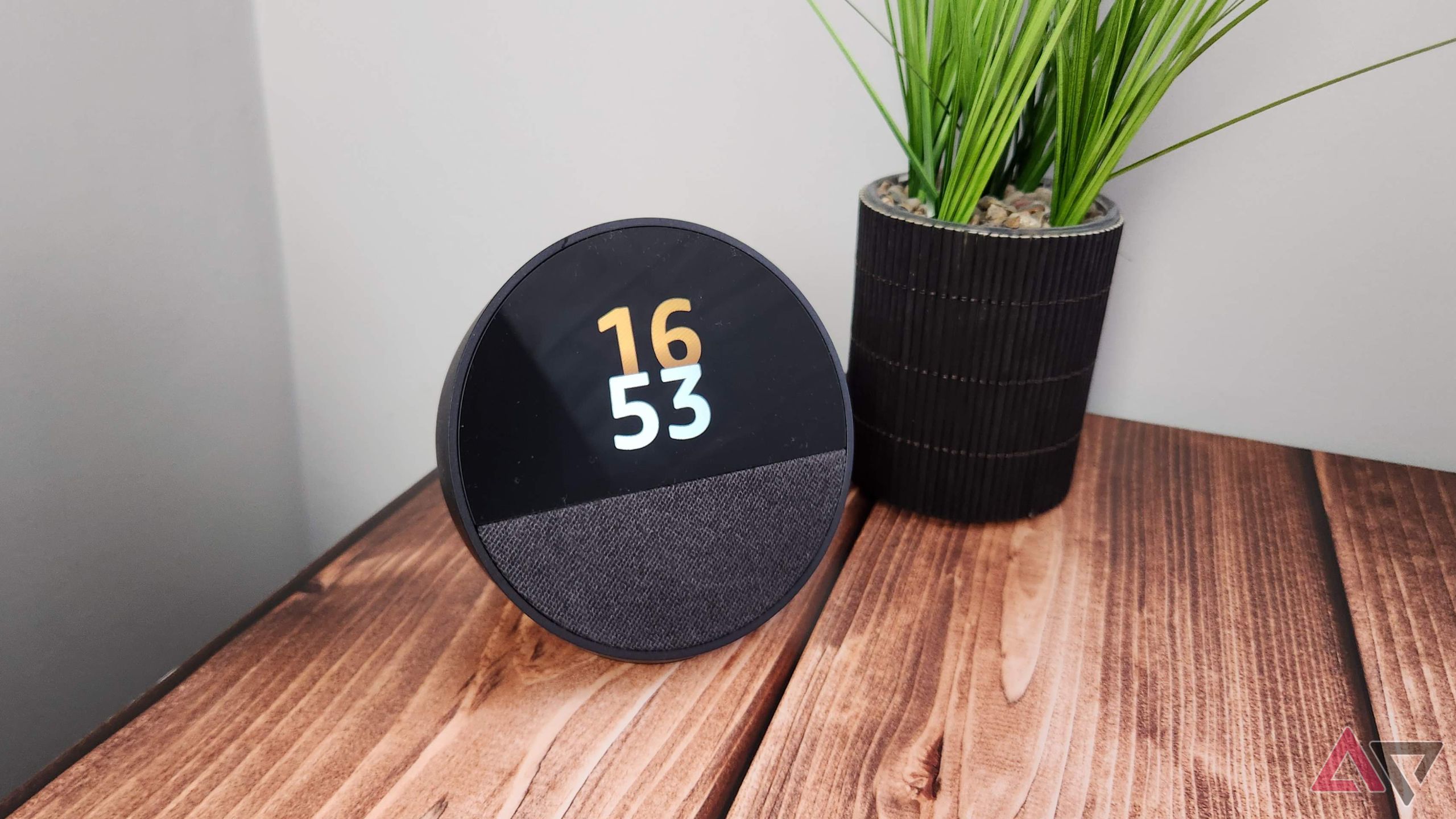 Amazon Echo Spot on a wooden table next to a green plant