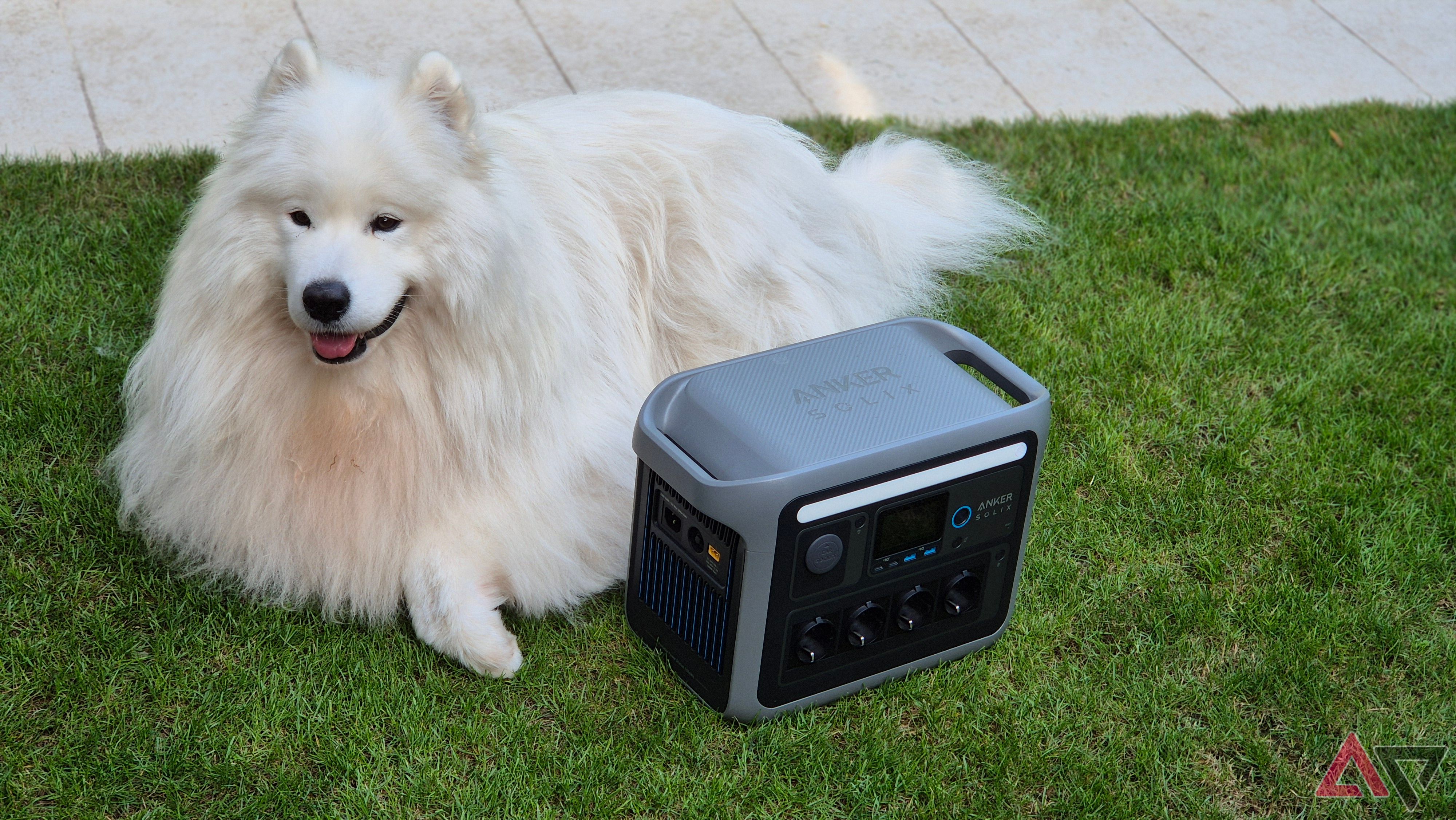 Un samoyedo tumbado junto a la central eléctrica portátil Anker C1000