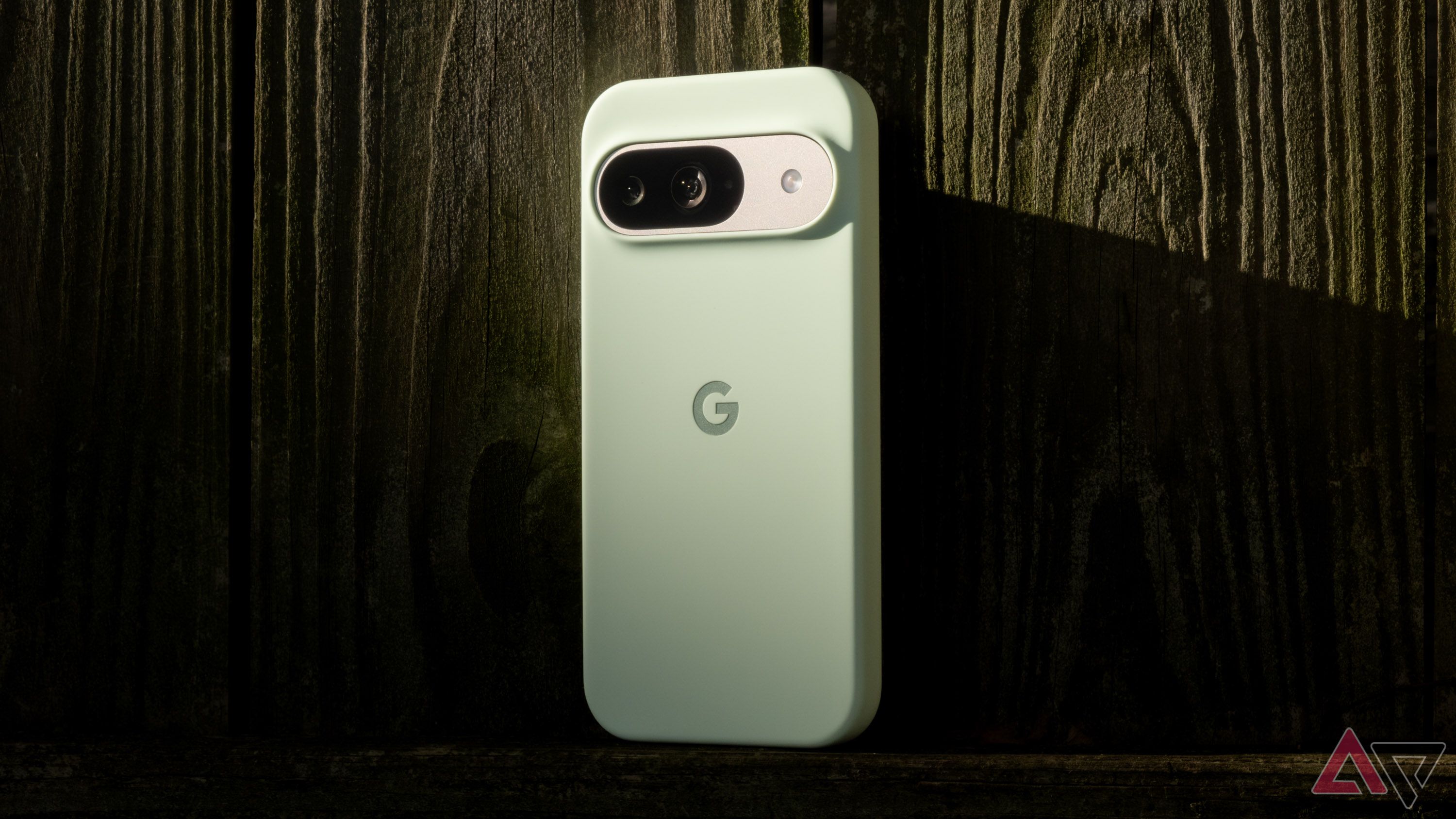 Google's Pixel 9 in a wintergreen case against a wood backdrop.