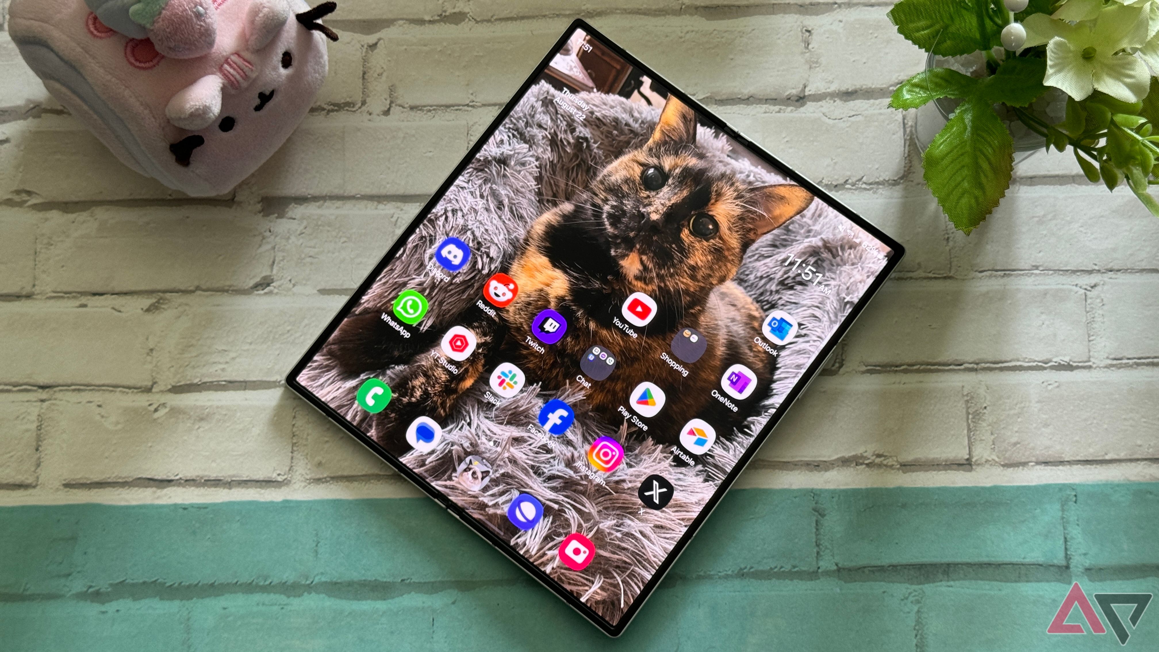 Samsung Galaxy Z Fold 6 inner display displaying the most gorgeous cat ever