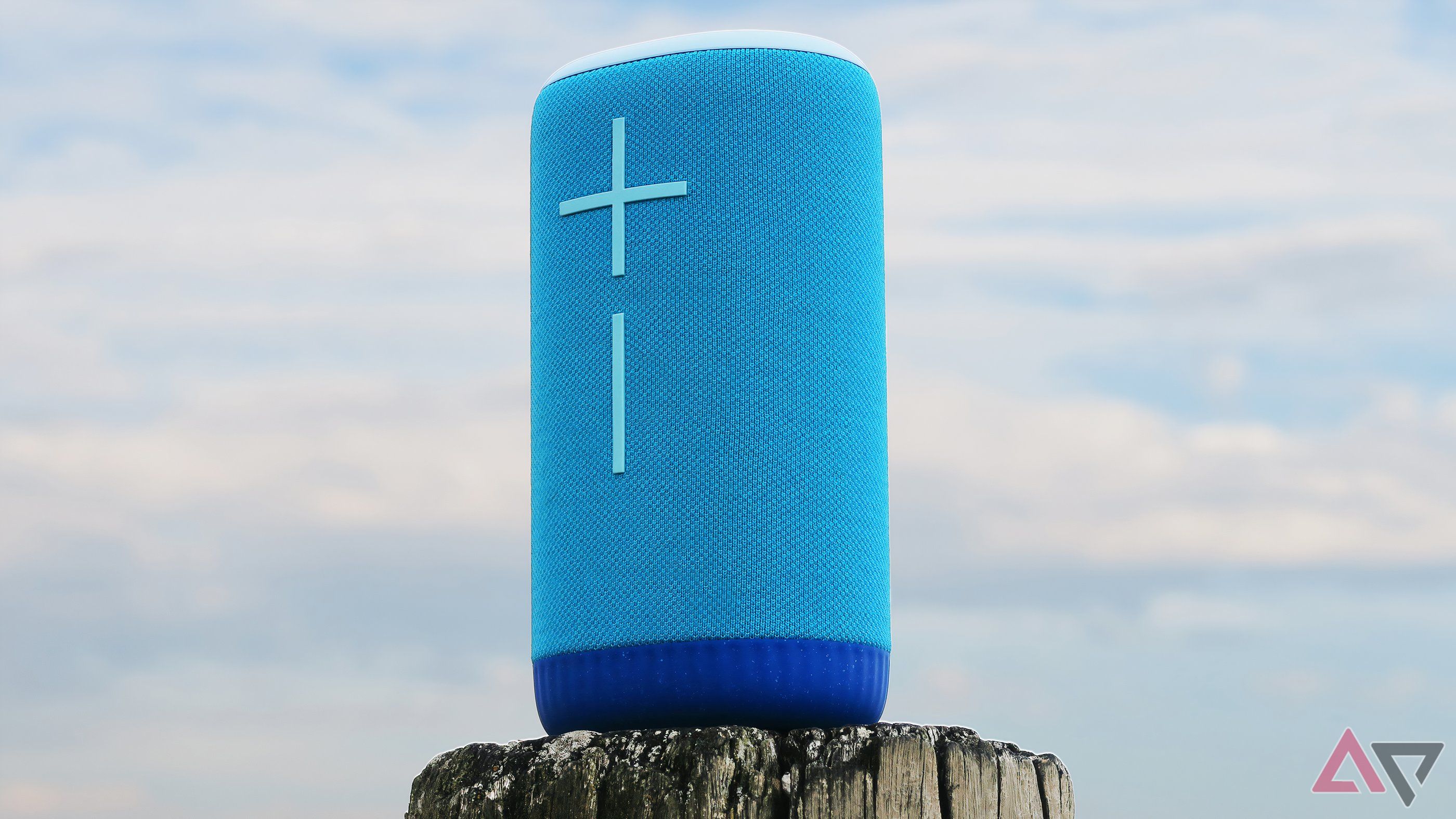 Everboom final ears on a wooden post, clouds in the background
