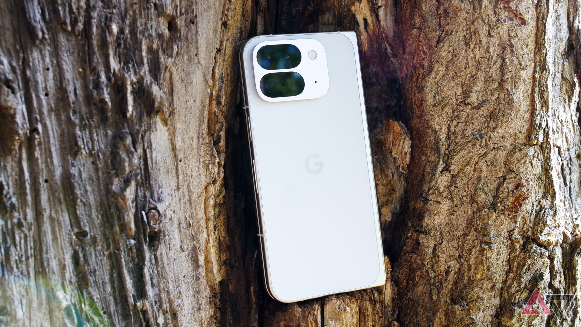 The Pixel 9 Pro Fold sitting in a tree, f-o-l-d-i-n-g.