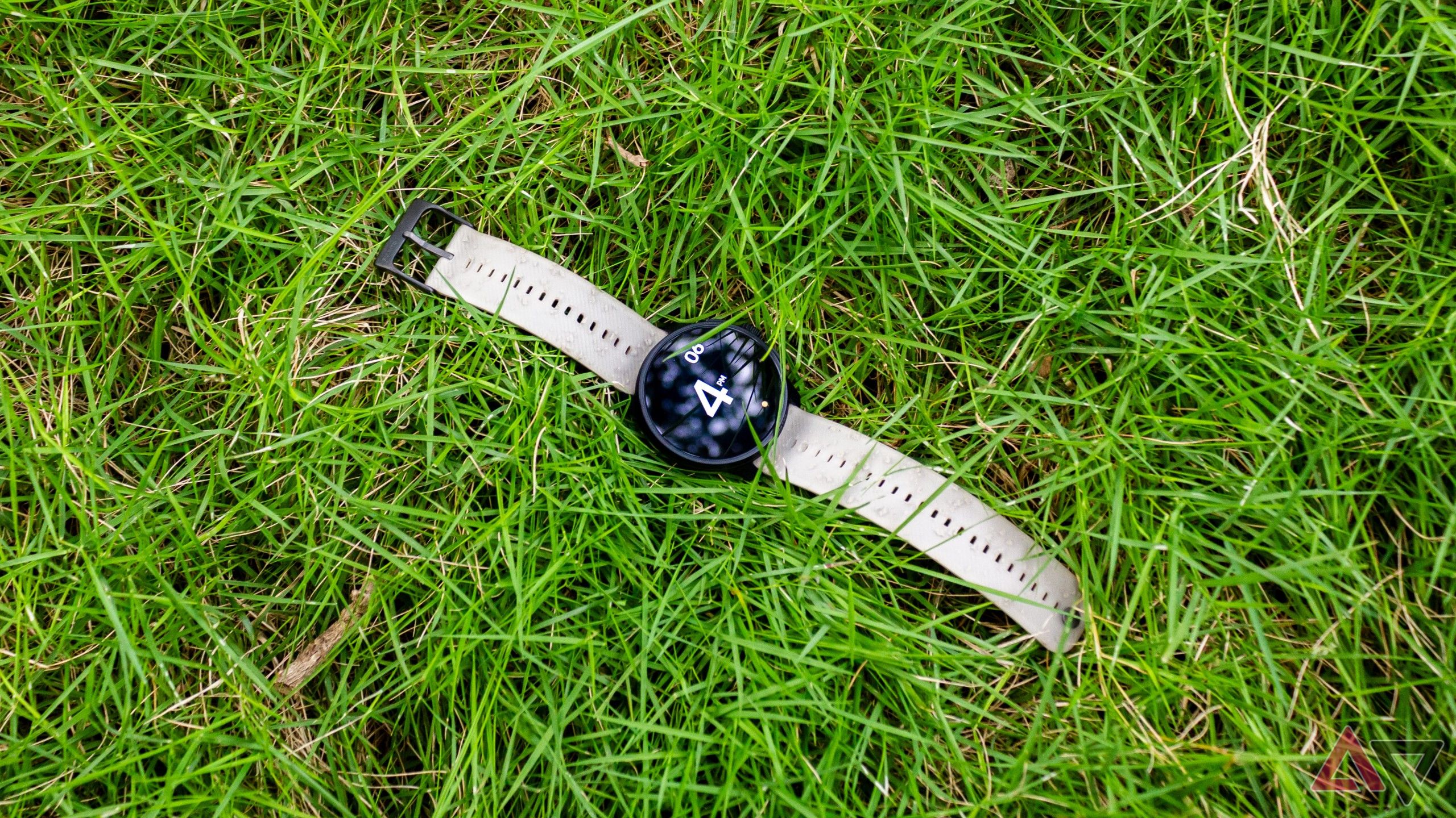 Sunto Race was placed on the leafy green grass