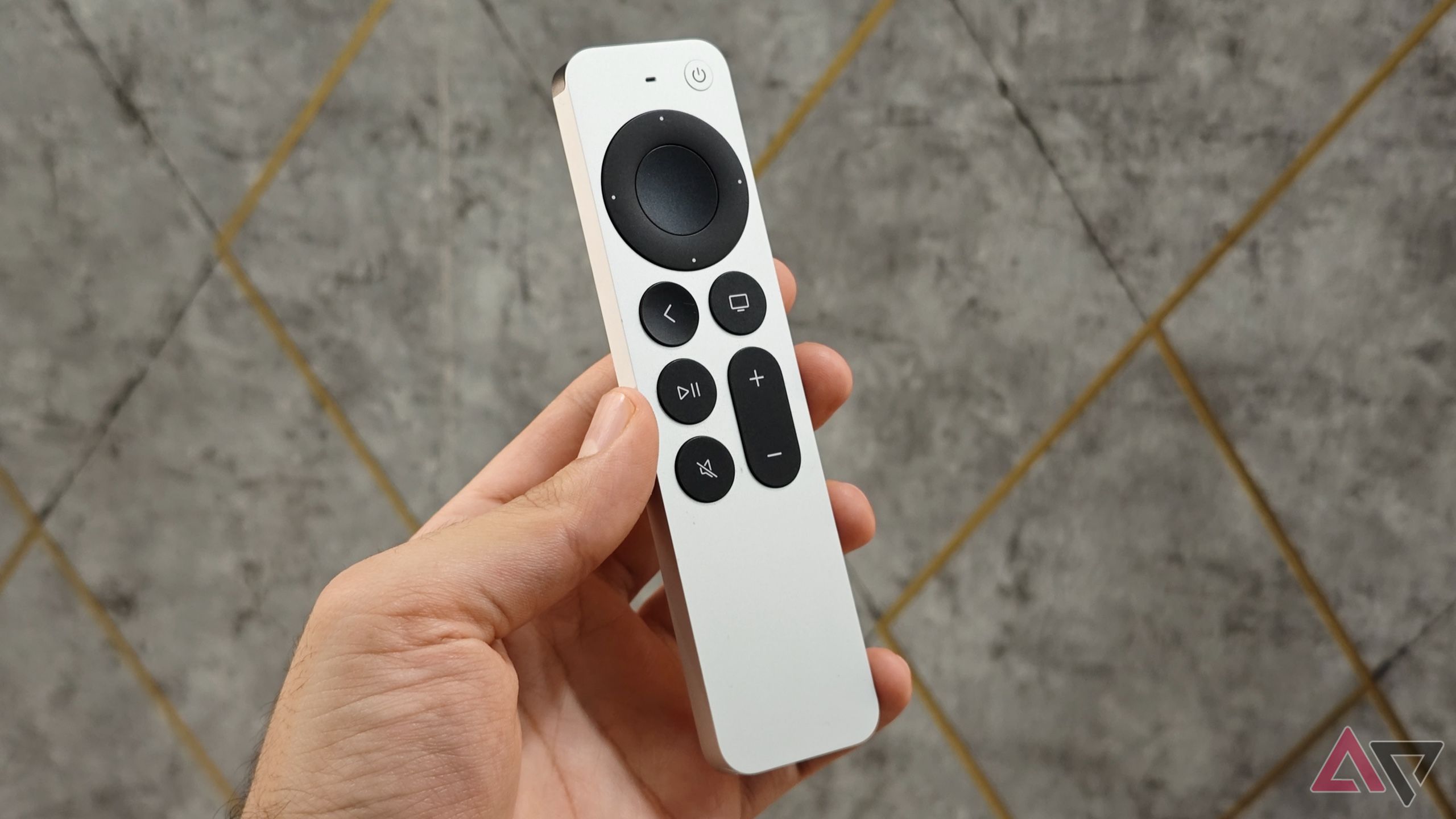 Apple TV remote in hand