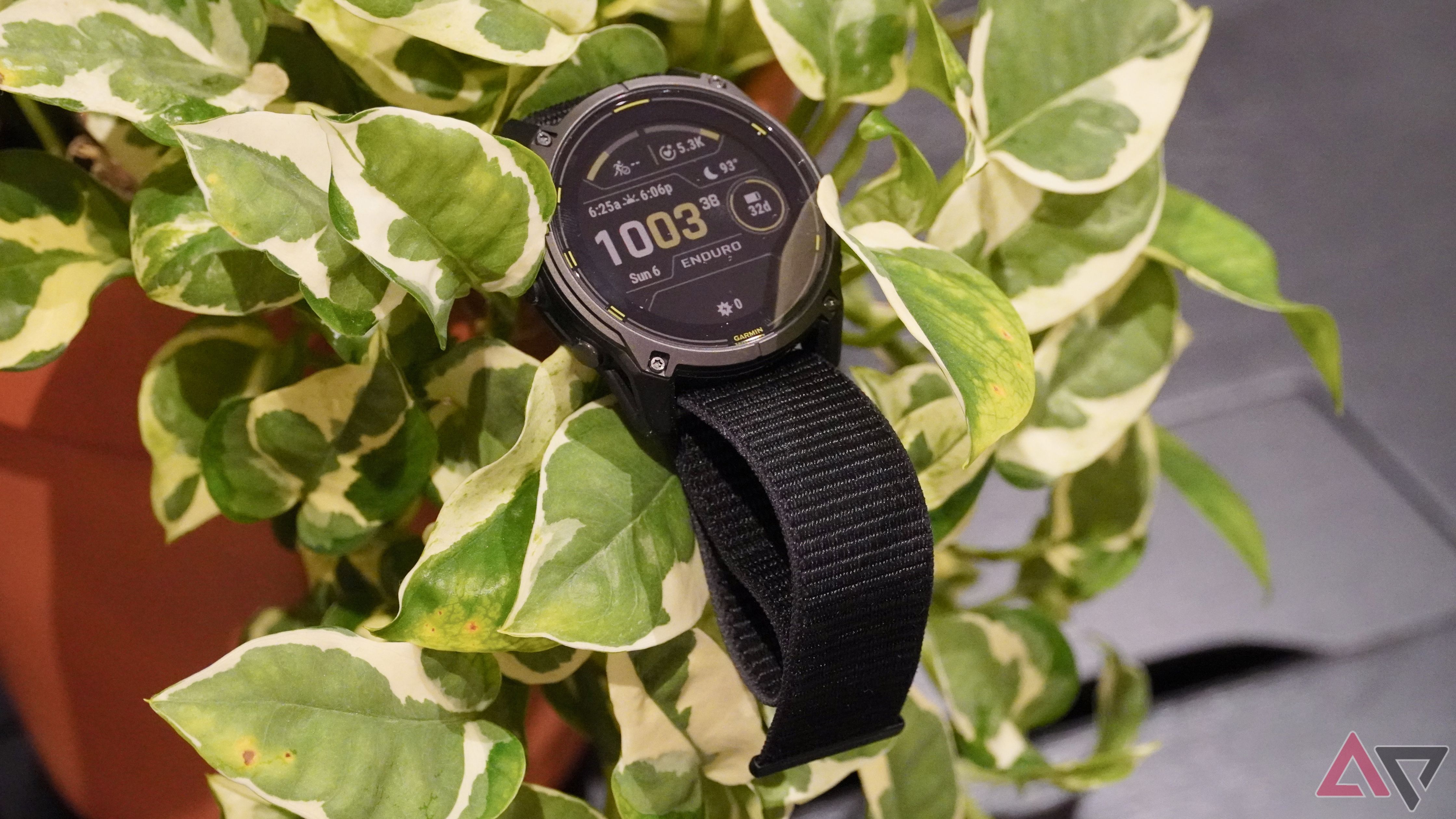 The Garmin Enduro 3 lying on a plant.