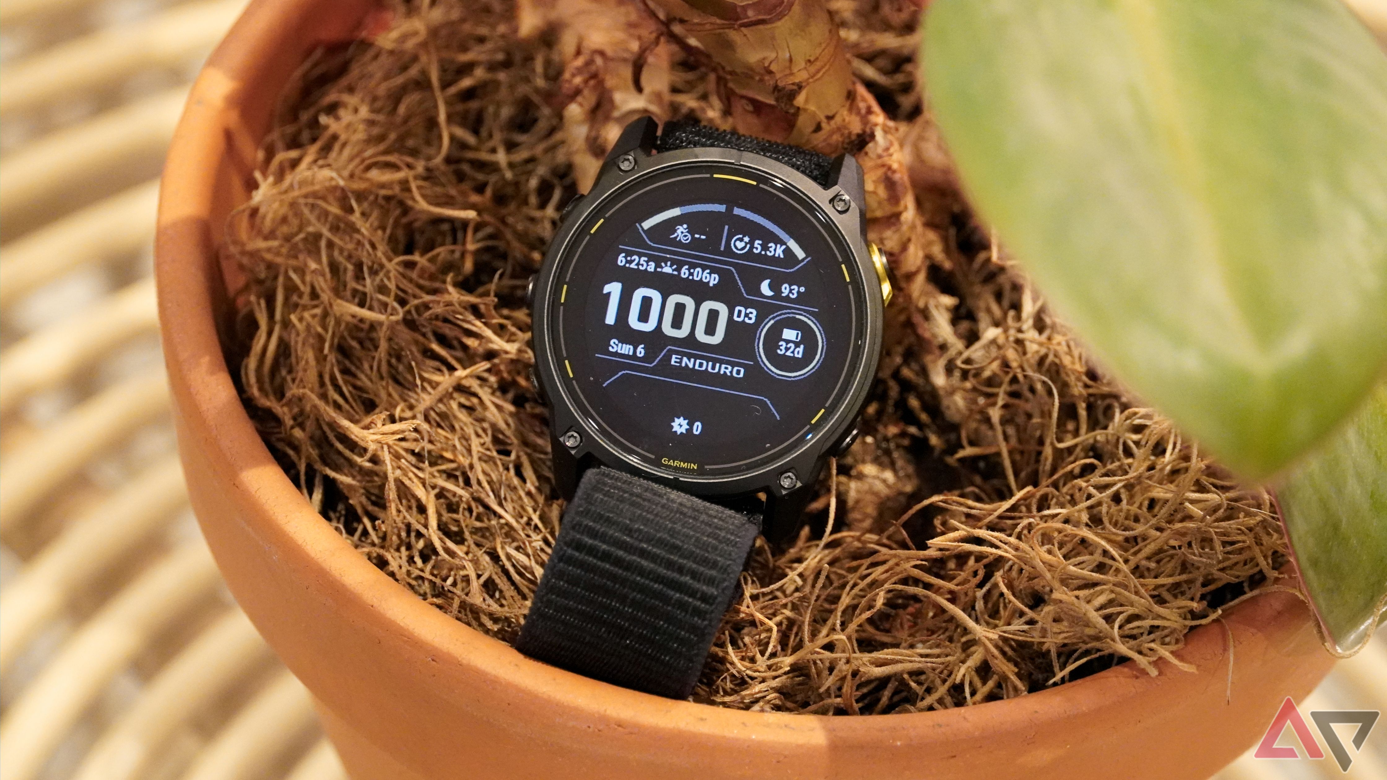 The Garmin Enduro 3 watch in a potted plant with the backlight on.