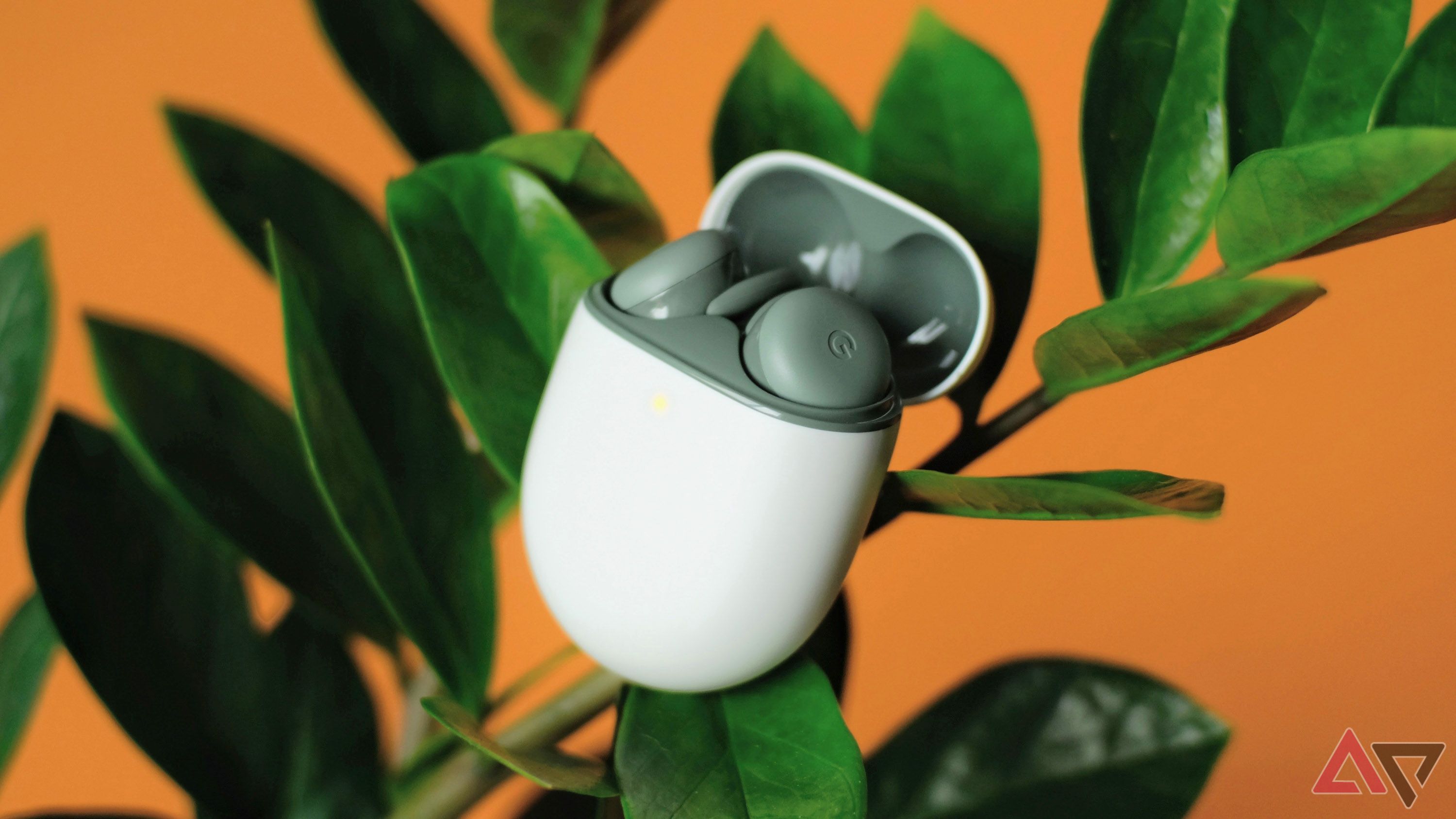 Pixel Buds A-Series trong hộp đựng của chúng, nằm trên một cái cây.