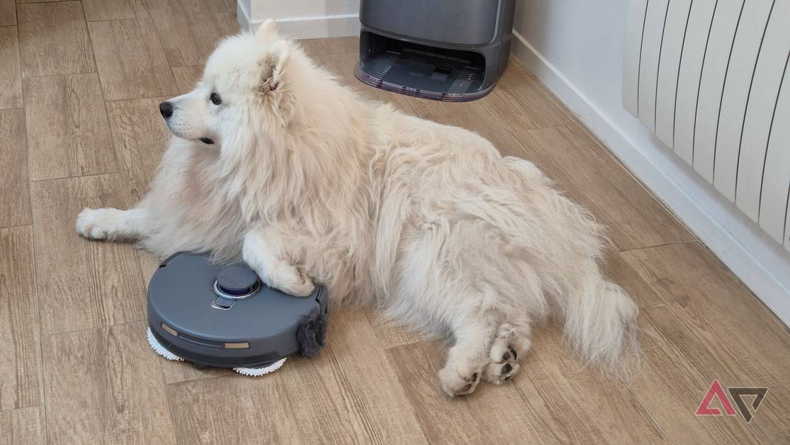 Robot Vacuum For Pet Hair IRobot Roomba 960 Review Best Robot
