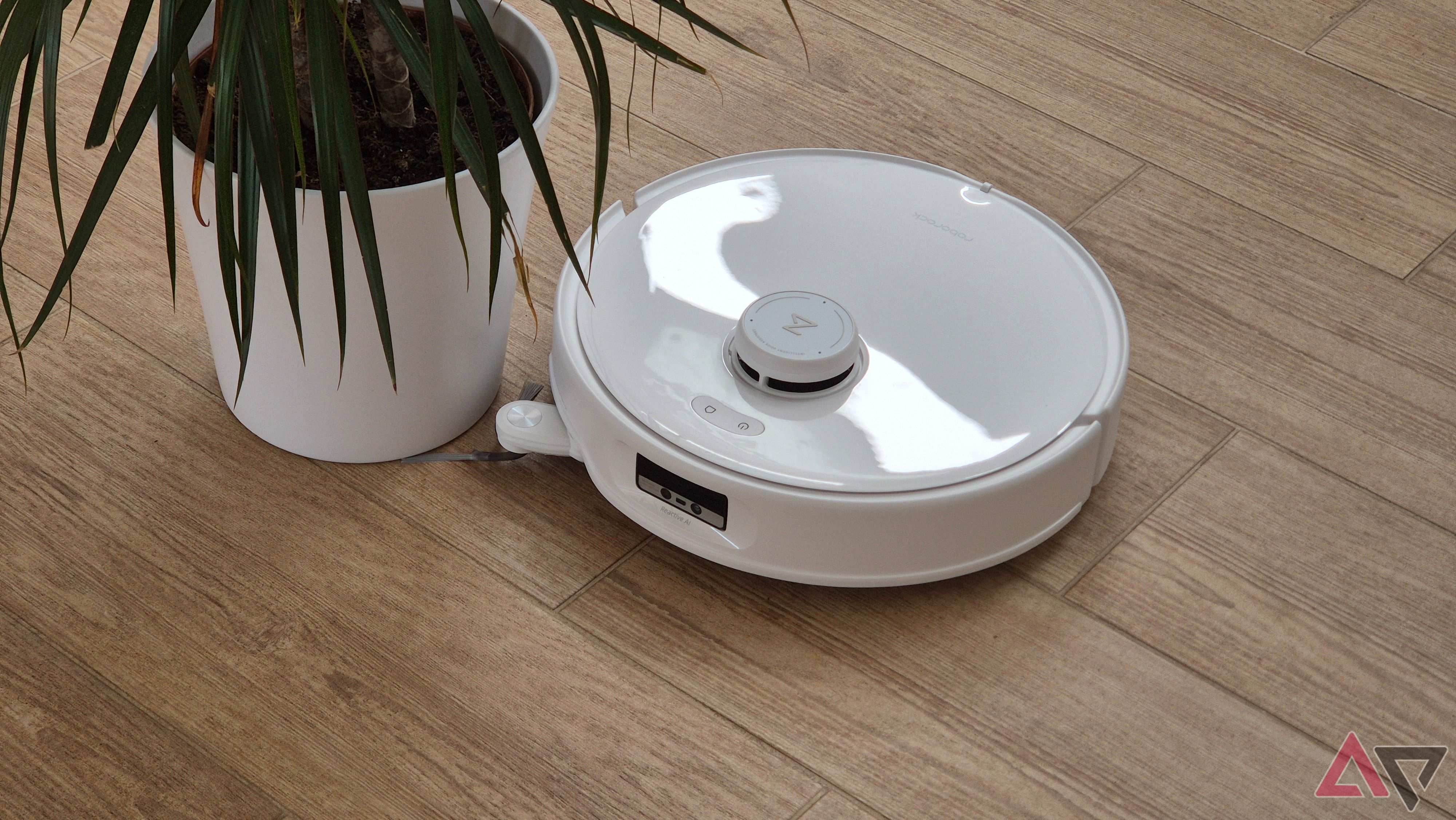 Roborock Qrevo Curv Cleaning around a plant bowl