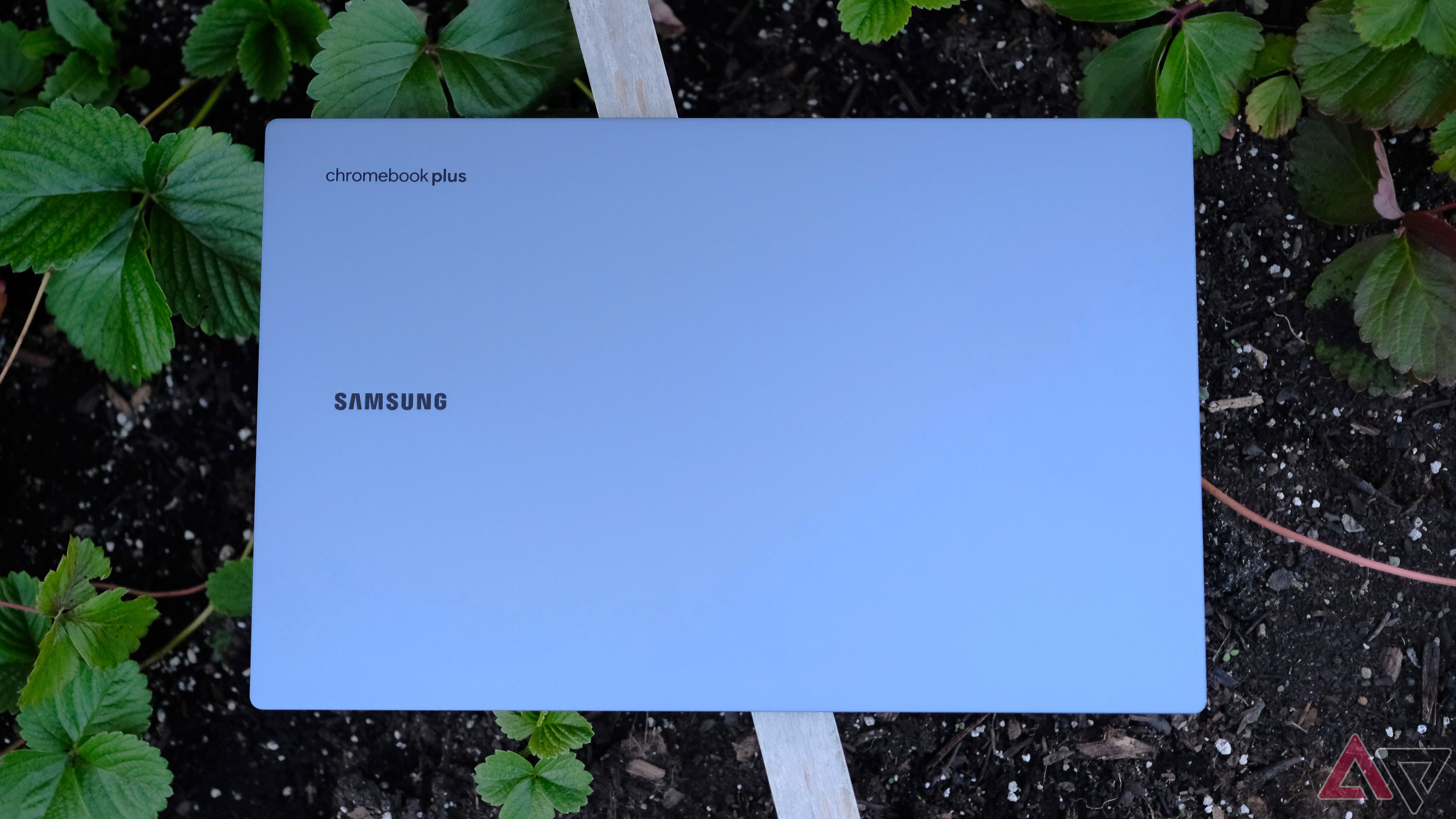 Samsung Chromebook Plus laying in strawberry garden