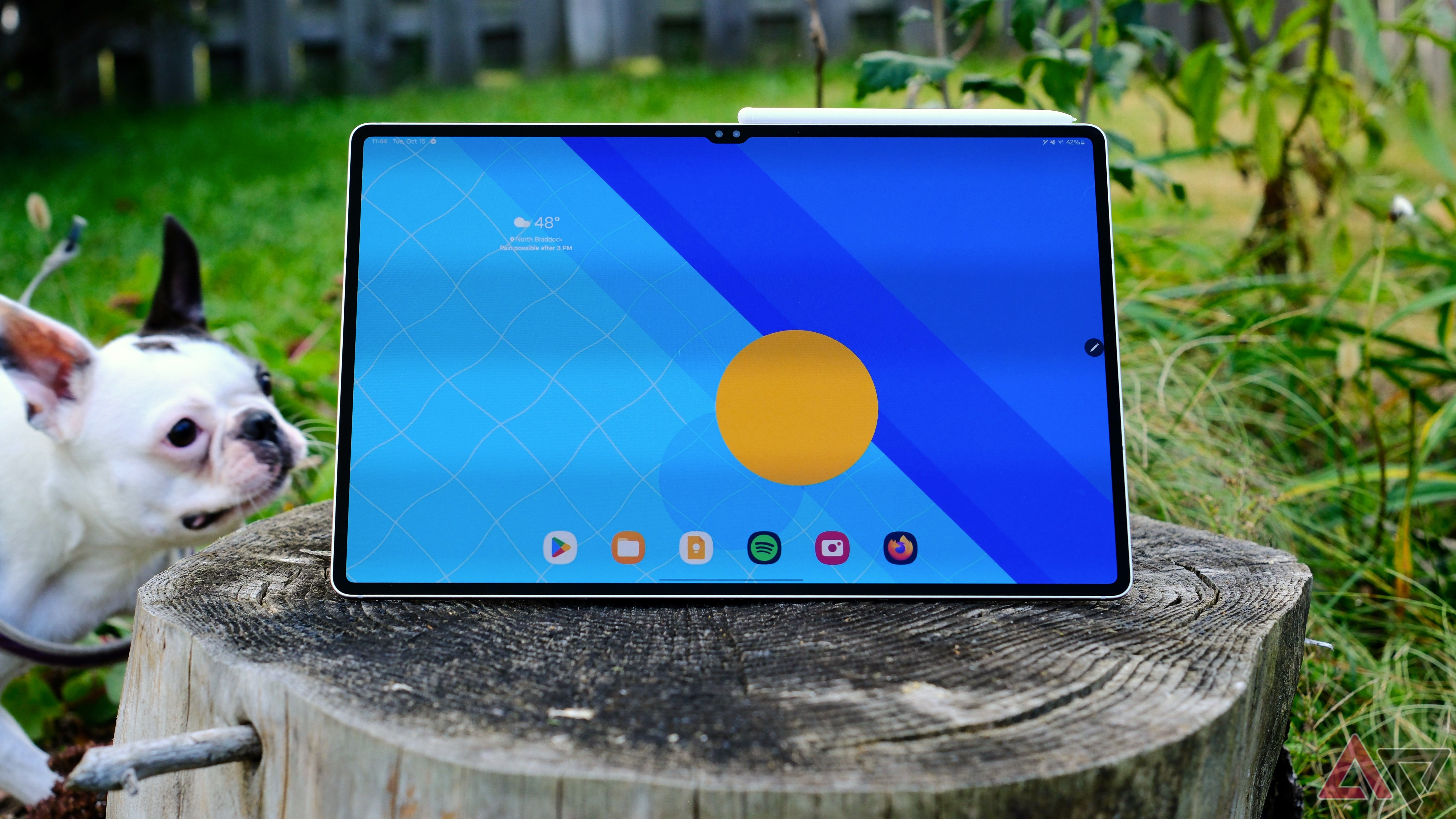 Samsung Galaxy Tab S10 Ultra showing home screen on stump with dog spying