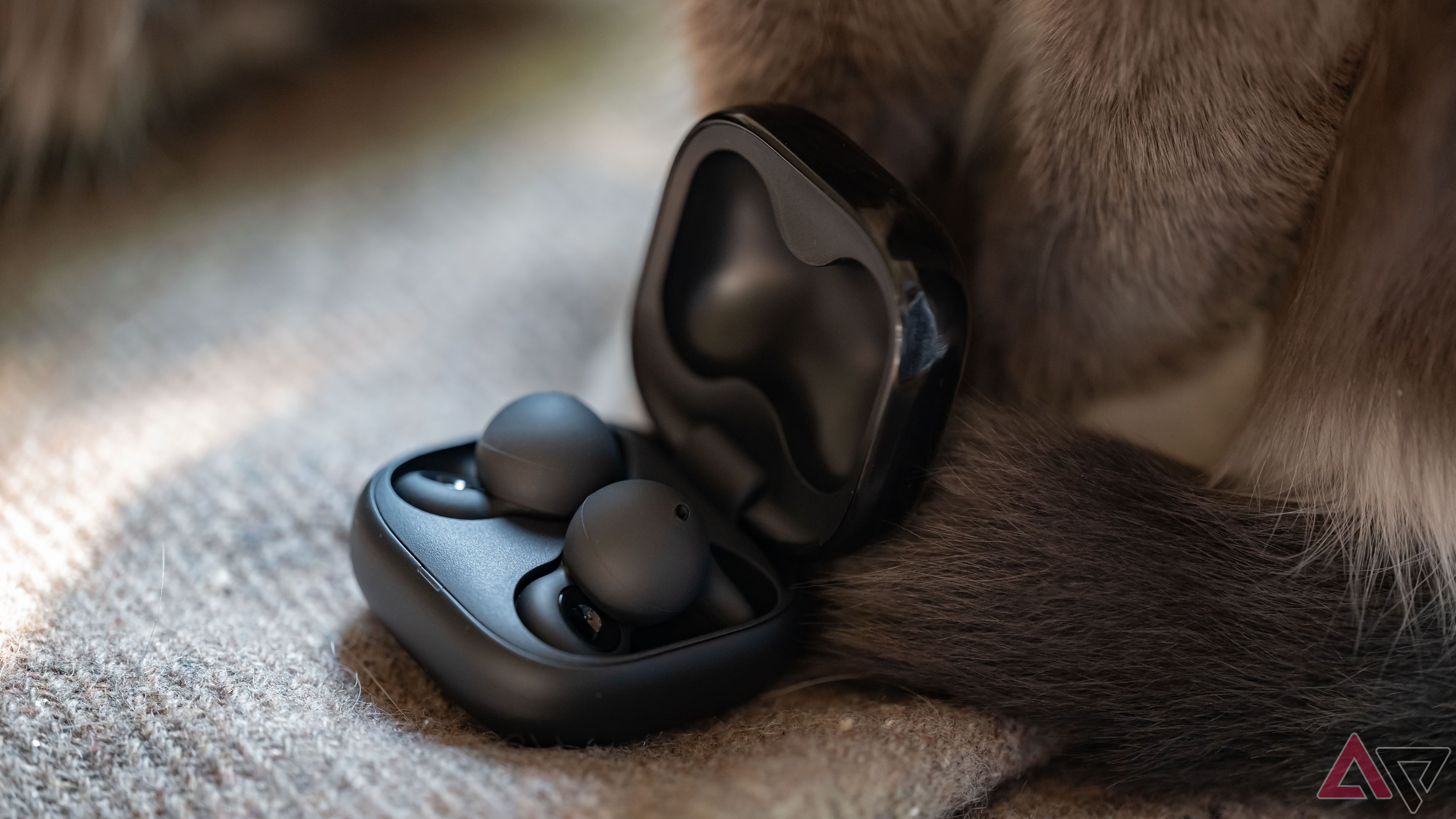 Sony Linkbuds open next to a cat.