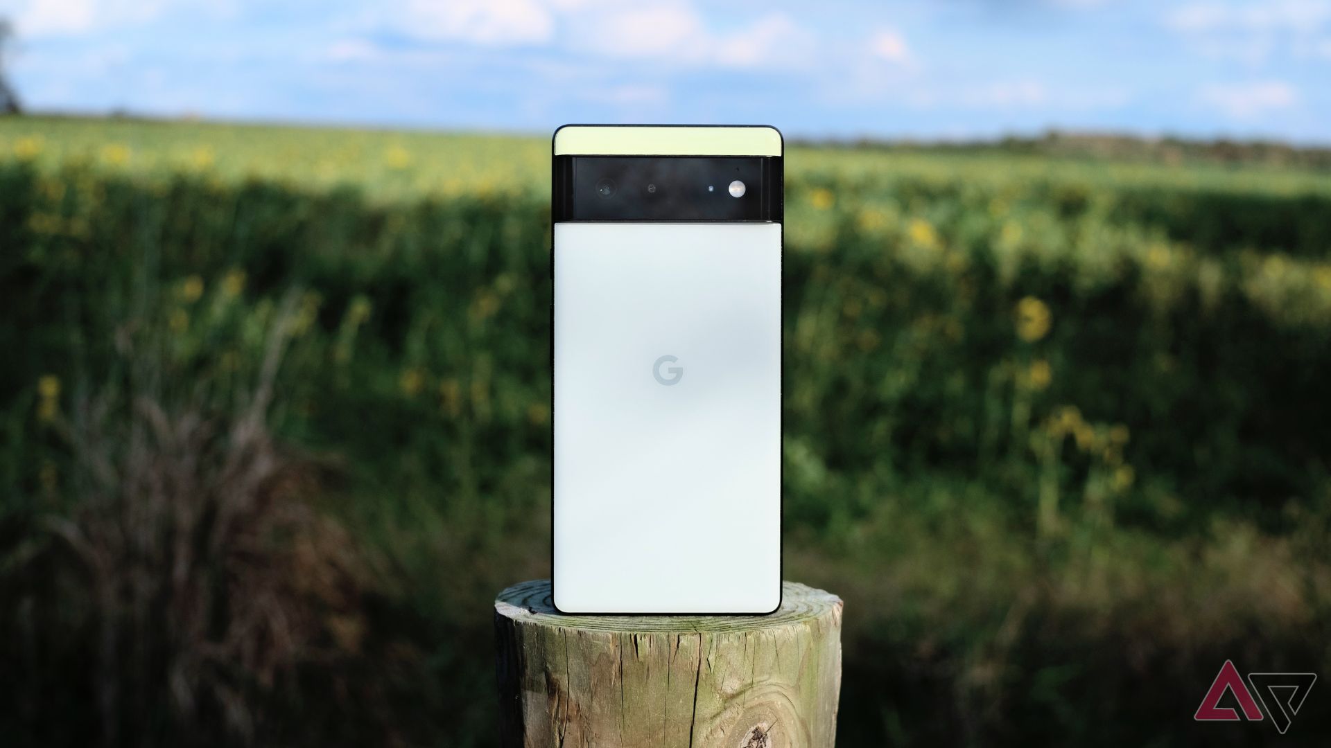 Google Pixel 6 has been at the forefront of the field