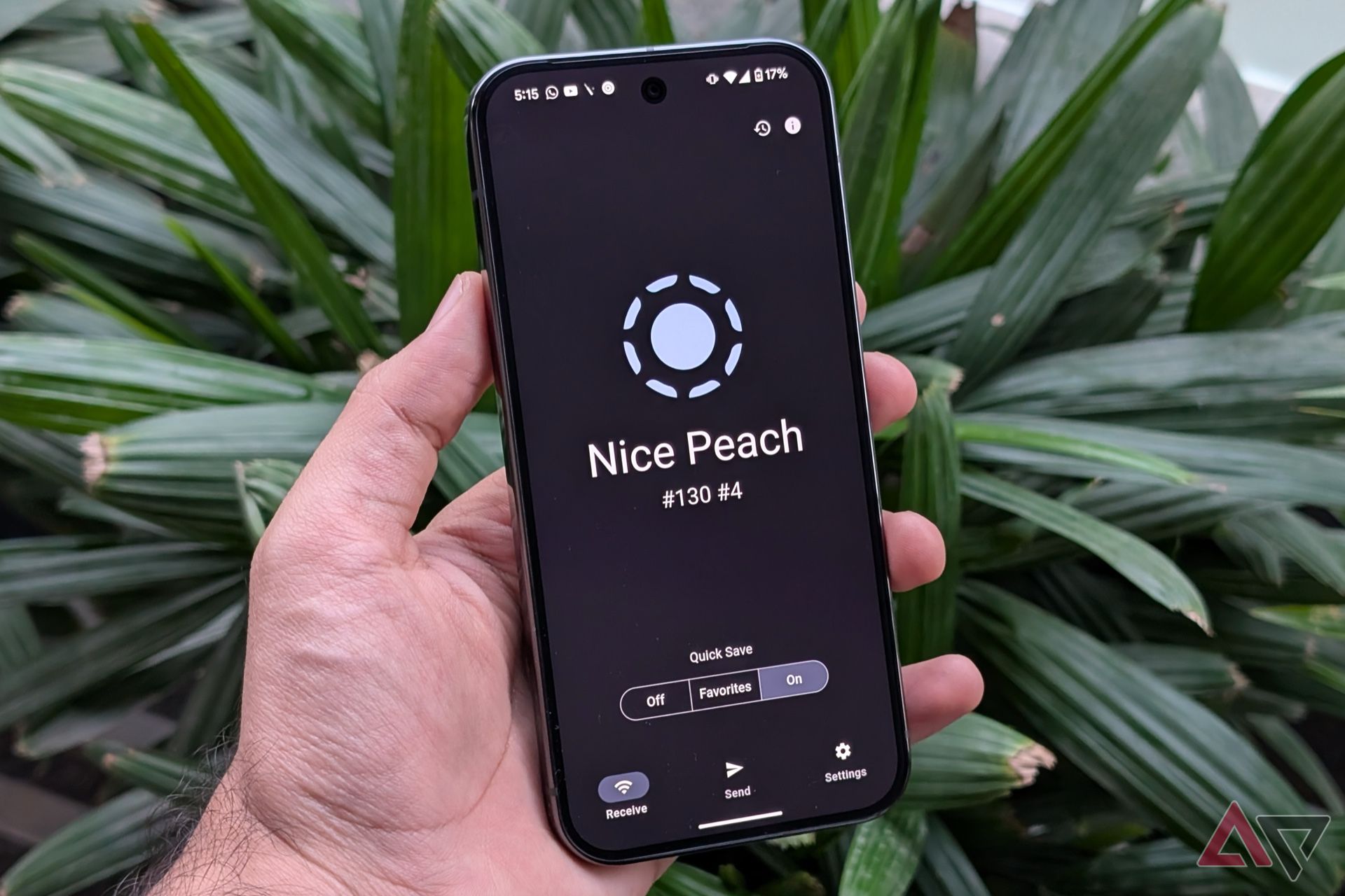 LocalSend chạy trên Pixel 9 Pro trước cây xanh