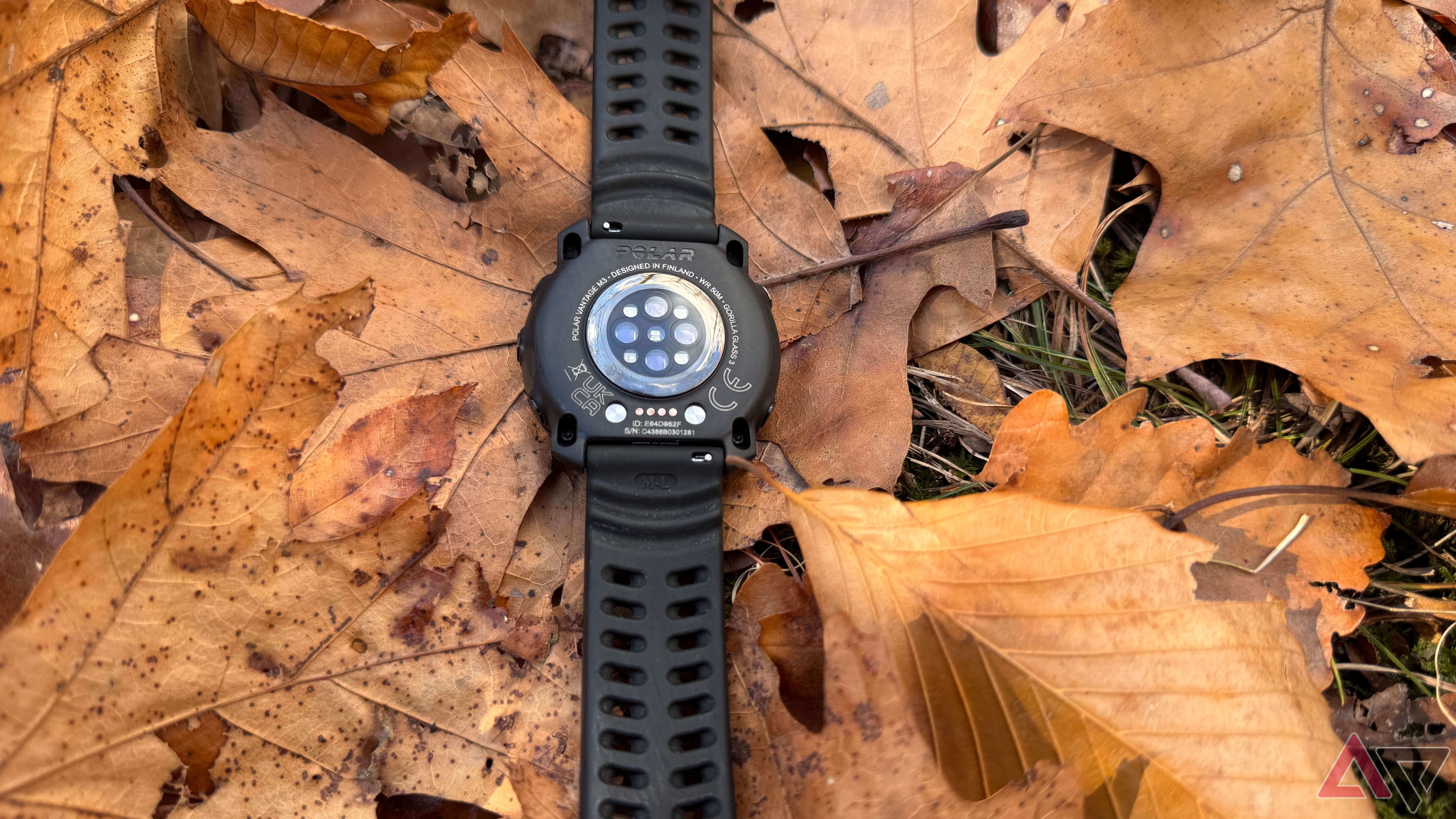 Polar Vantage M3 showing the sensor and bottom on a bed or orange leaves