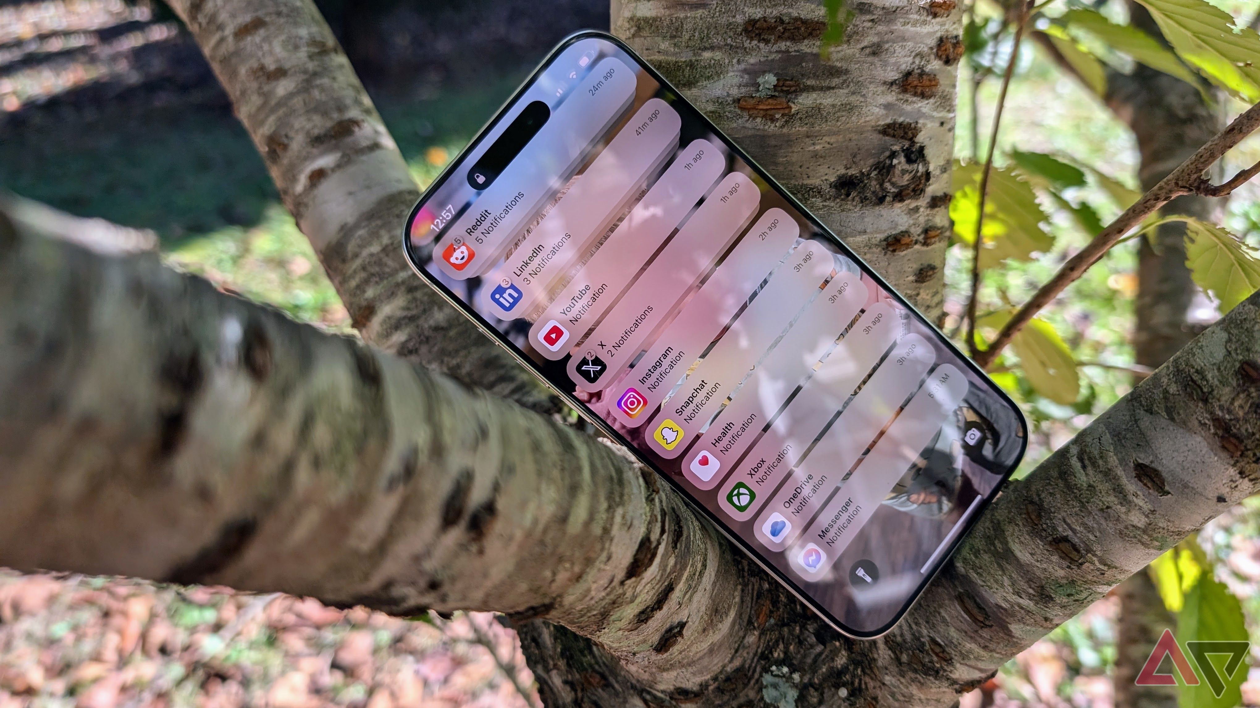 iPhone 16 Pro set in tree with display on showing notifications