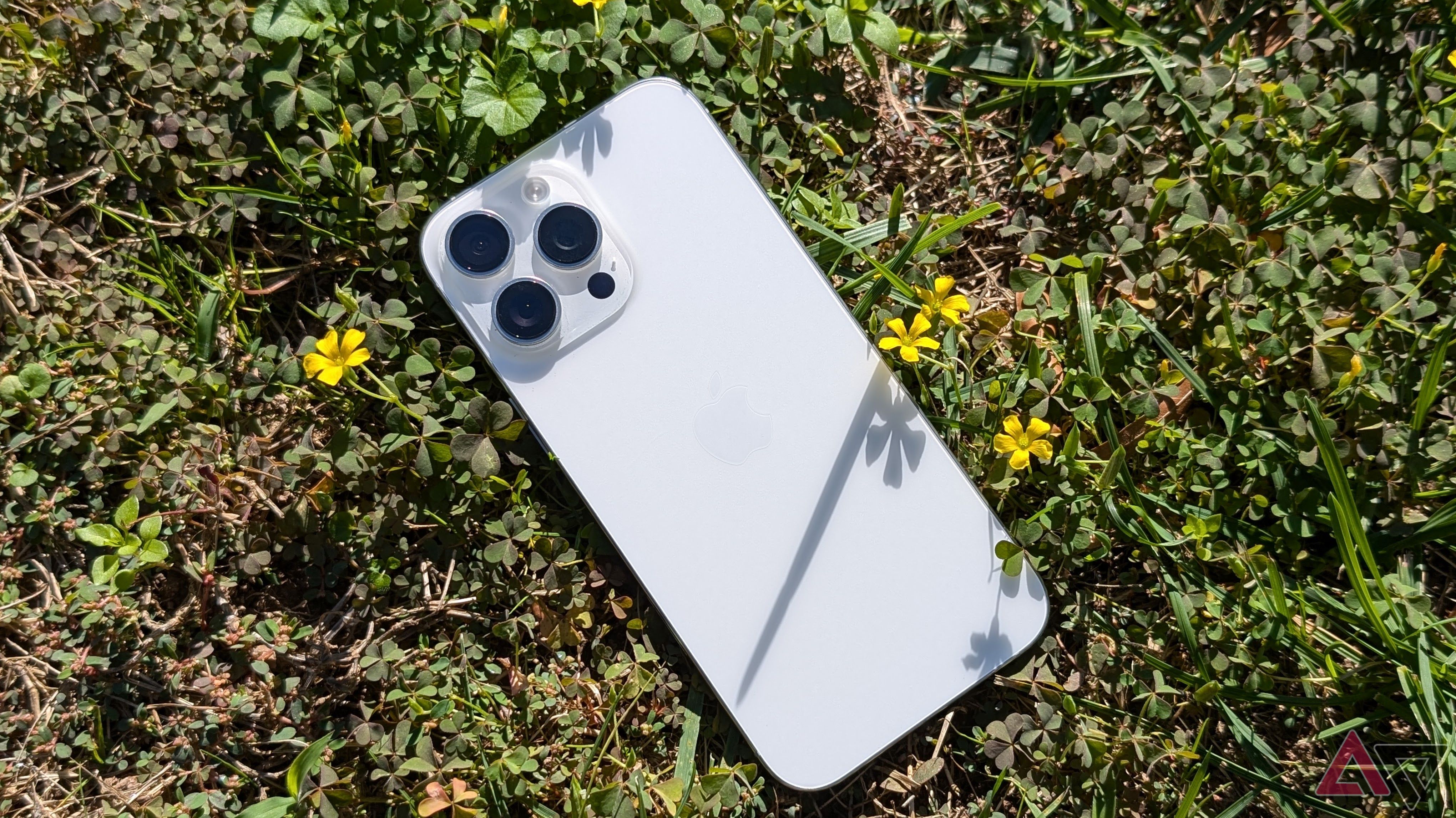 iPhone 16 Pro lying in grass with logo facing up